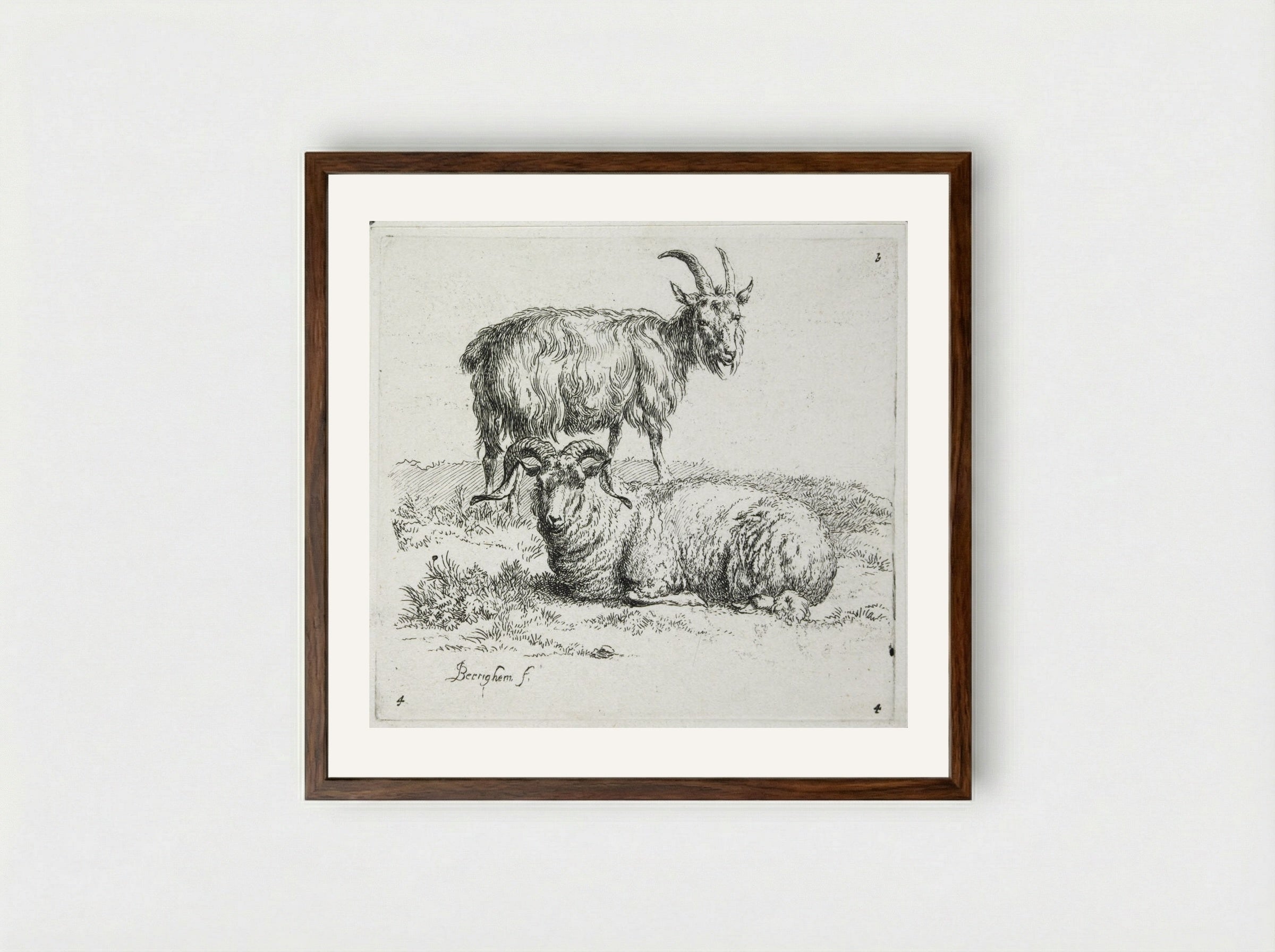 A Goat and a Ram - Nicolaes Berchem - Framed Print Dark Wood