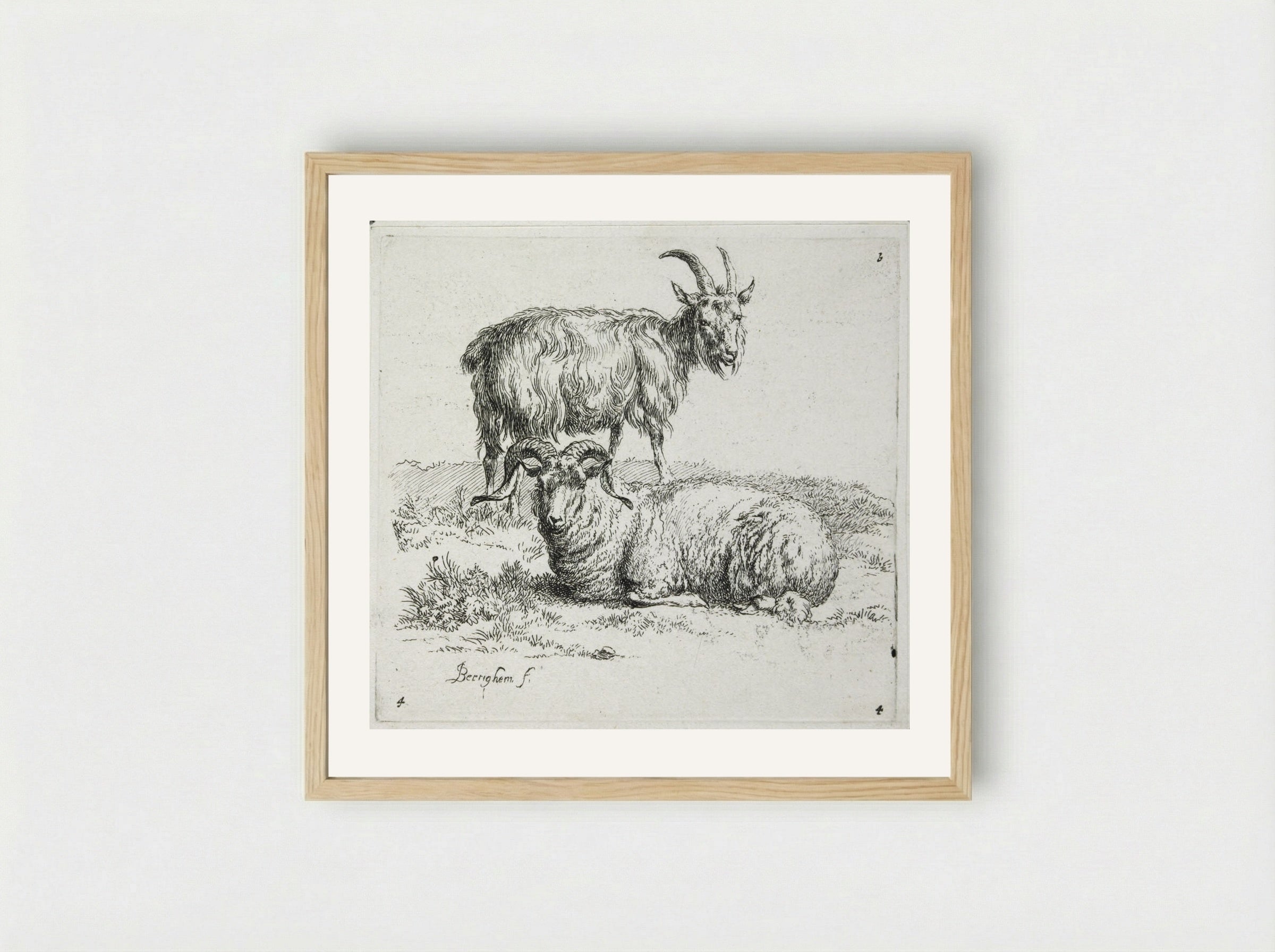 A Goat and a Ram - Nicolaes Berchem - Framed Print Wood