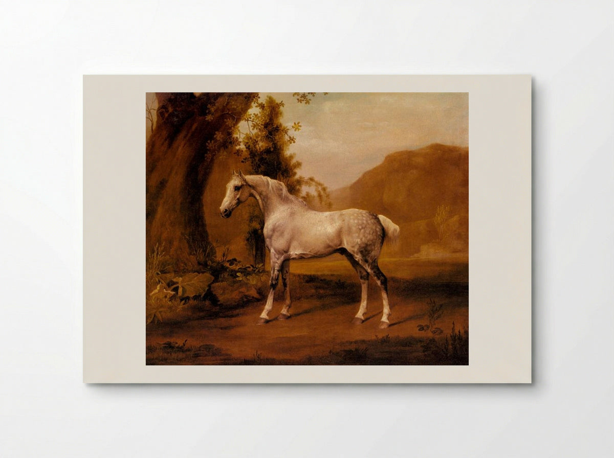 A Grey Stallion in a Landscape - George Stubbs - Poster
