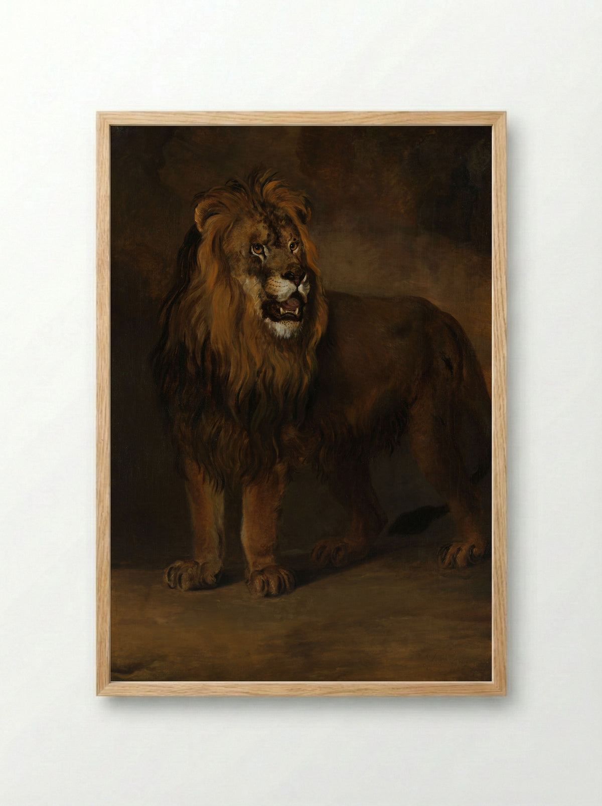 A Lion from the Menagerie of King Louis Napoleon - Pieter Gerardus van Os - Framed Print Wood