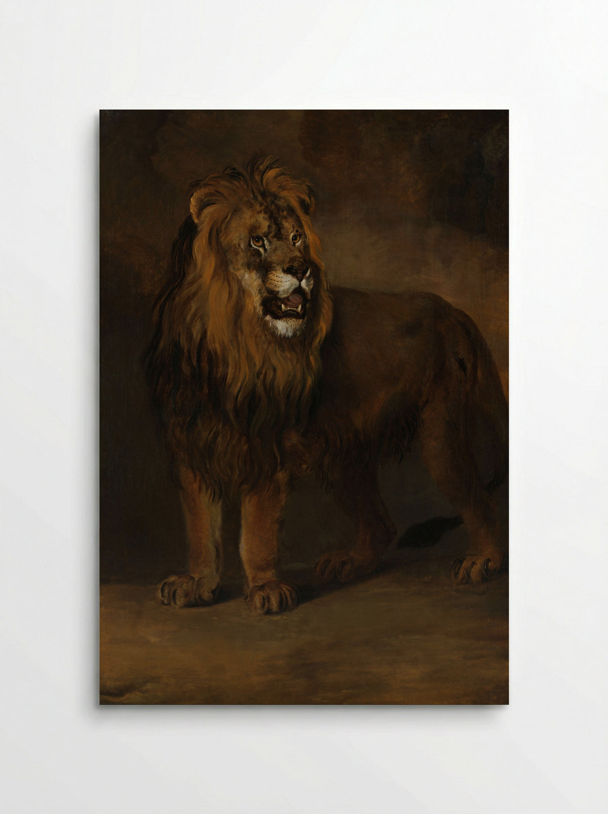 A Lion from the Menagerie of King Louis Napoleon - Pieter Gerardus van Os - Poster
