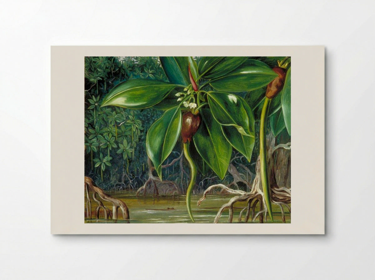A Mangrove Swamp in Sarawak, Borneo - Marianne North - Poster