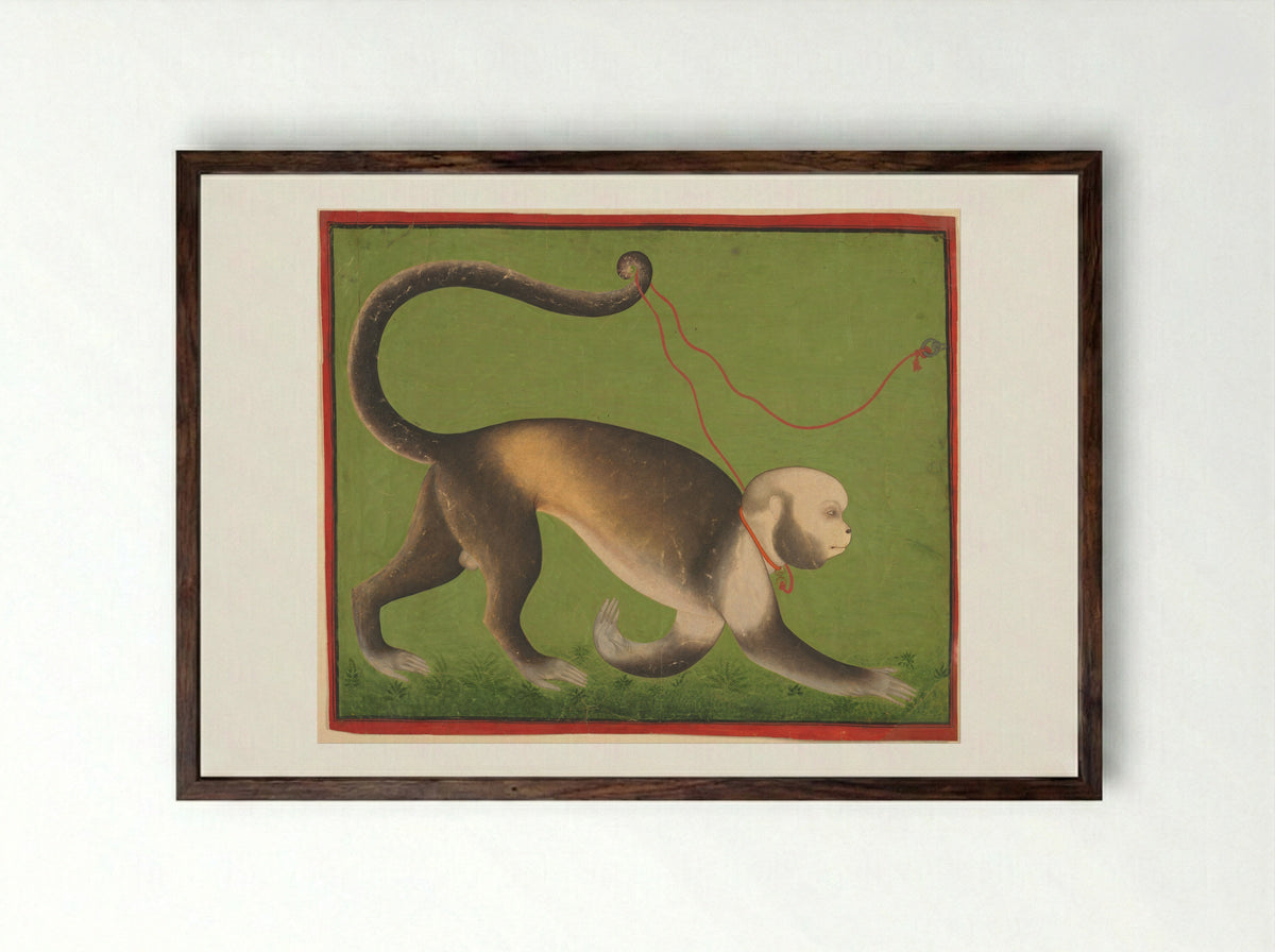 A Monumental Portrait of a Monkey - Unknown Indian Artist - Framed Print Dark Wood