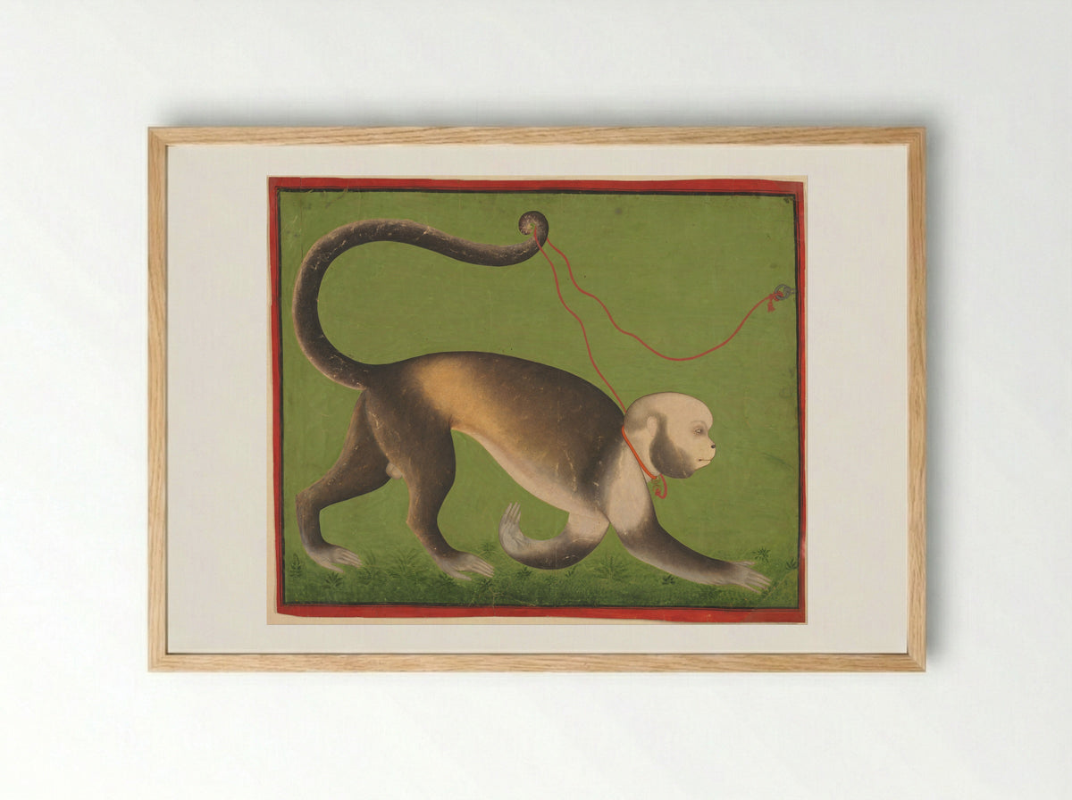 A Monumental Portrait of a Monkey - Unknown Indian Artist - Framed Print Wood