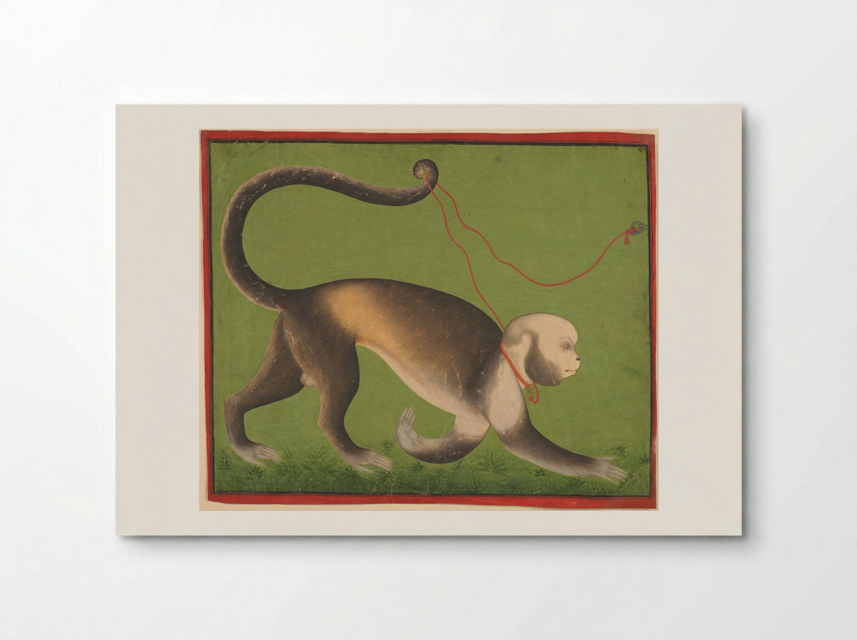 A Monumental Portrait of a Monkey - Unknown Indian Artist - Poster