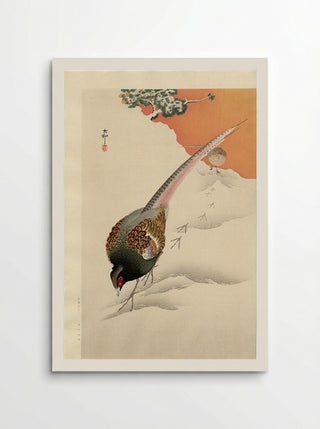 A Pair of Pheasants in the Snow - Ohara Koson