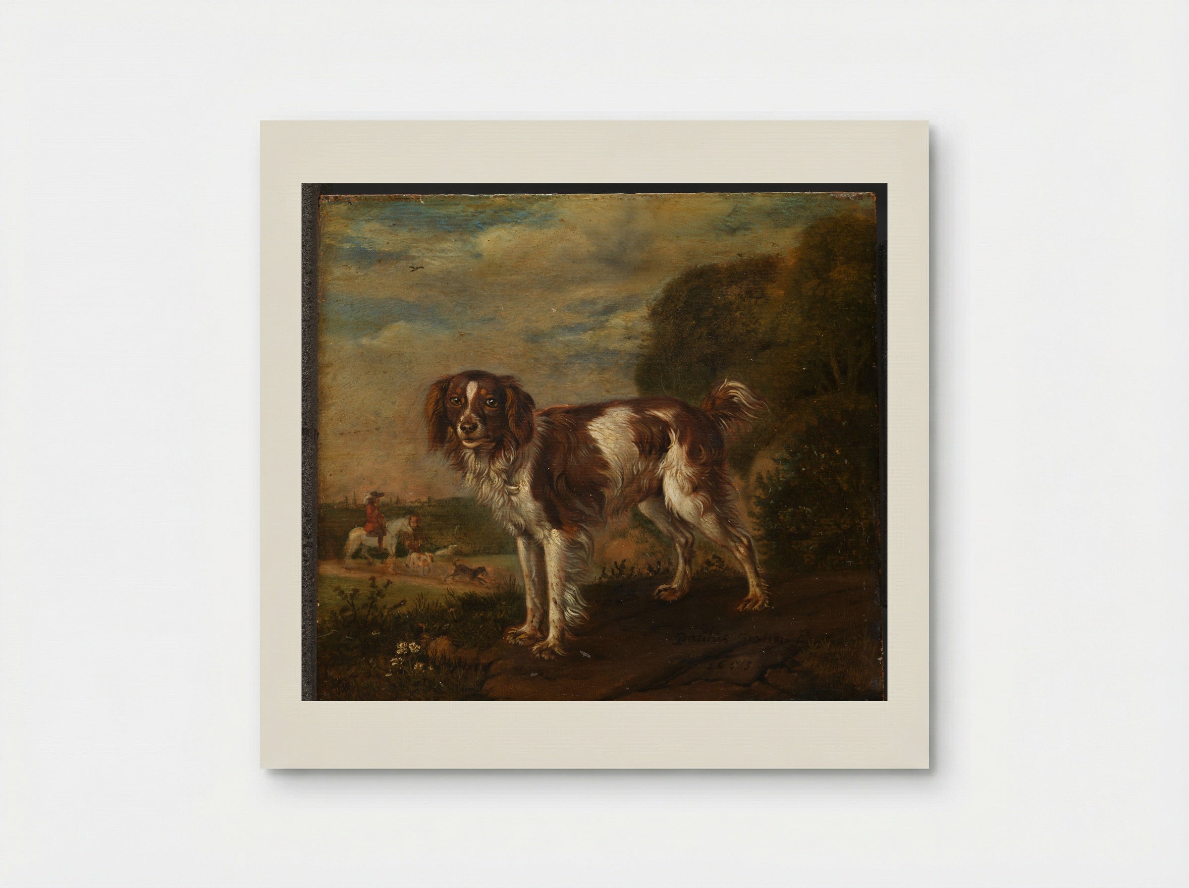 A Partridge Dog - Paulus Potter - Poster