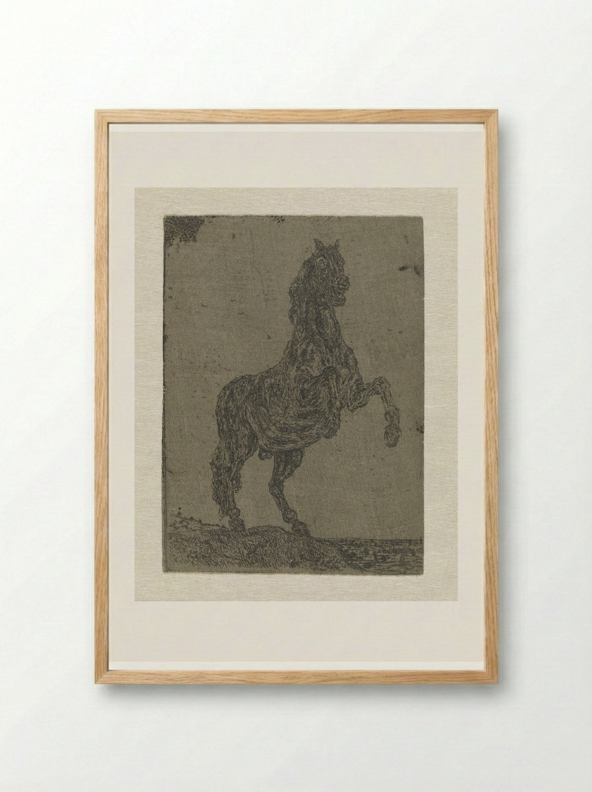A Rearing Horse - Hercules Segers - Framed Print Wood