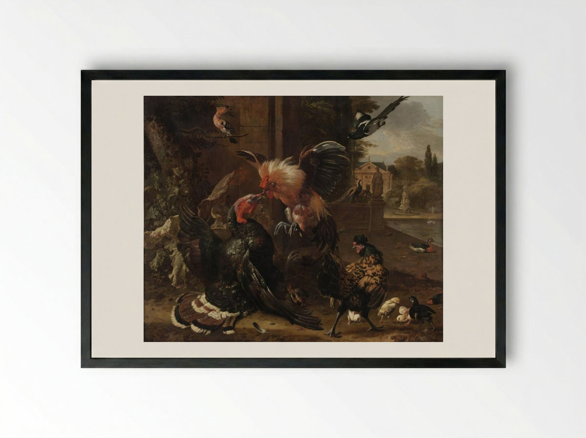 A Rooster and Turkey Fighting - Melchior de Hondecoeter - Framed Print Black