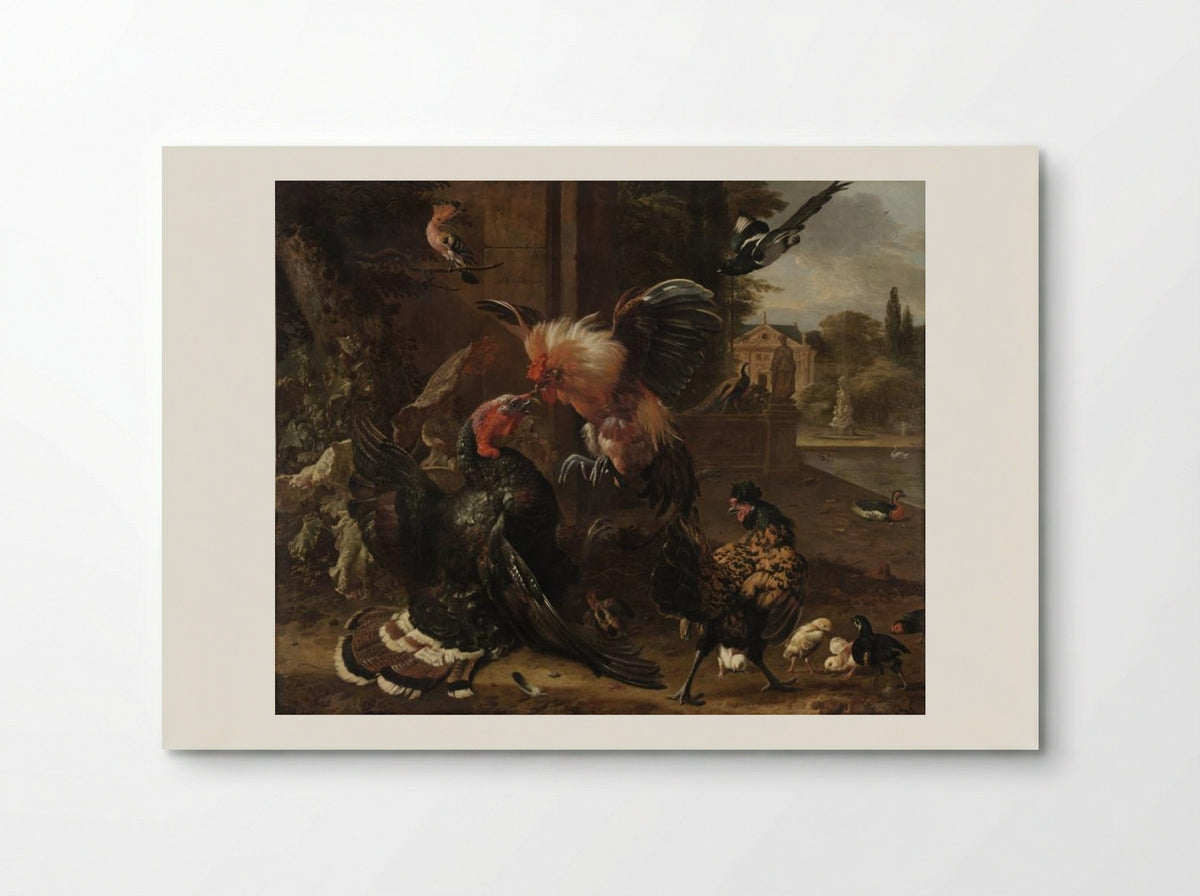 A Rooster and Turkey Fighting - Melchior de Hondecoeter - Poster