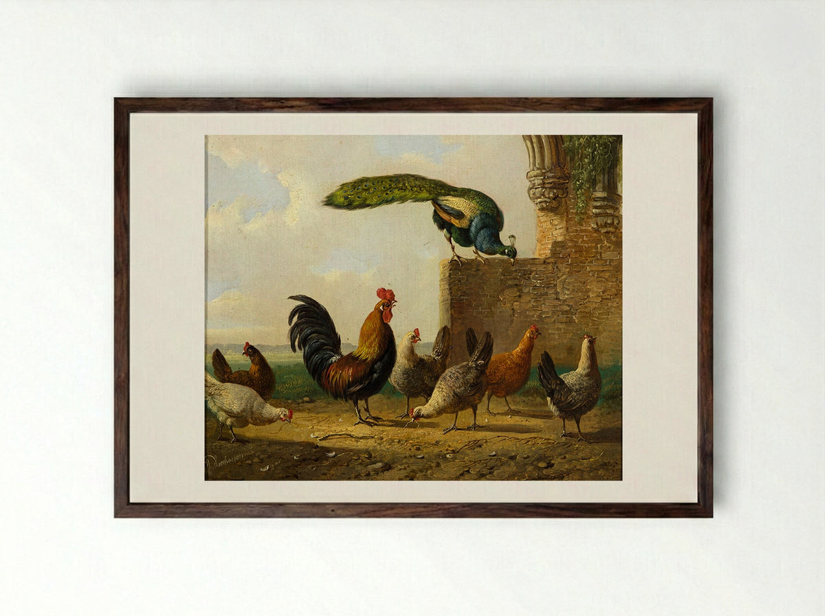 A Rooster with Hens and Chicks - Albertus Verhoesen - Framed Print Dark Wood
