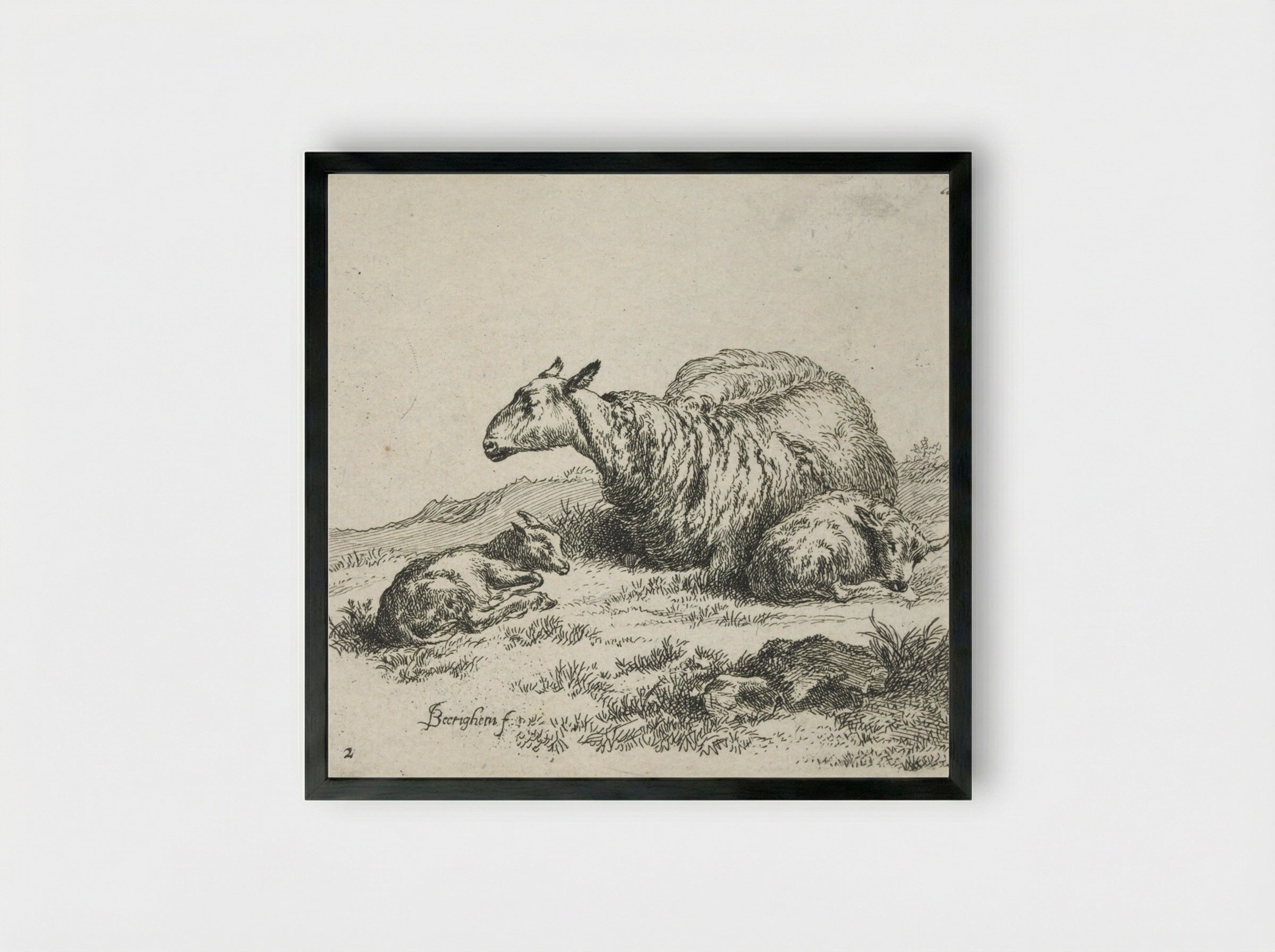A Sheep and Kid - Nicolaes Berchem - Framed Print Black
