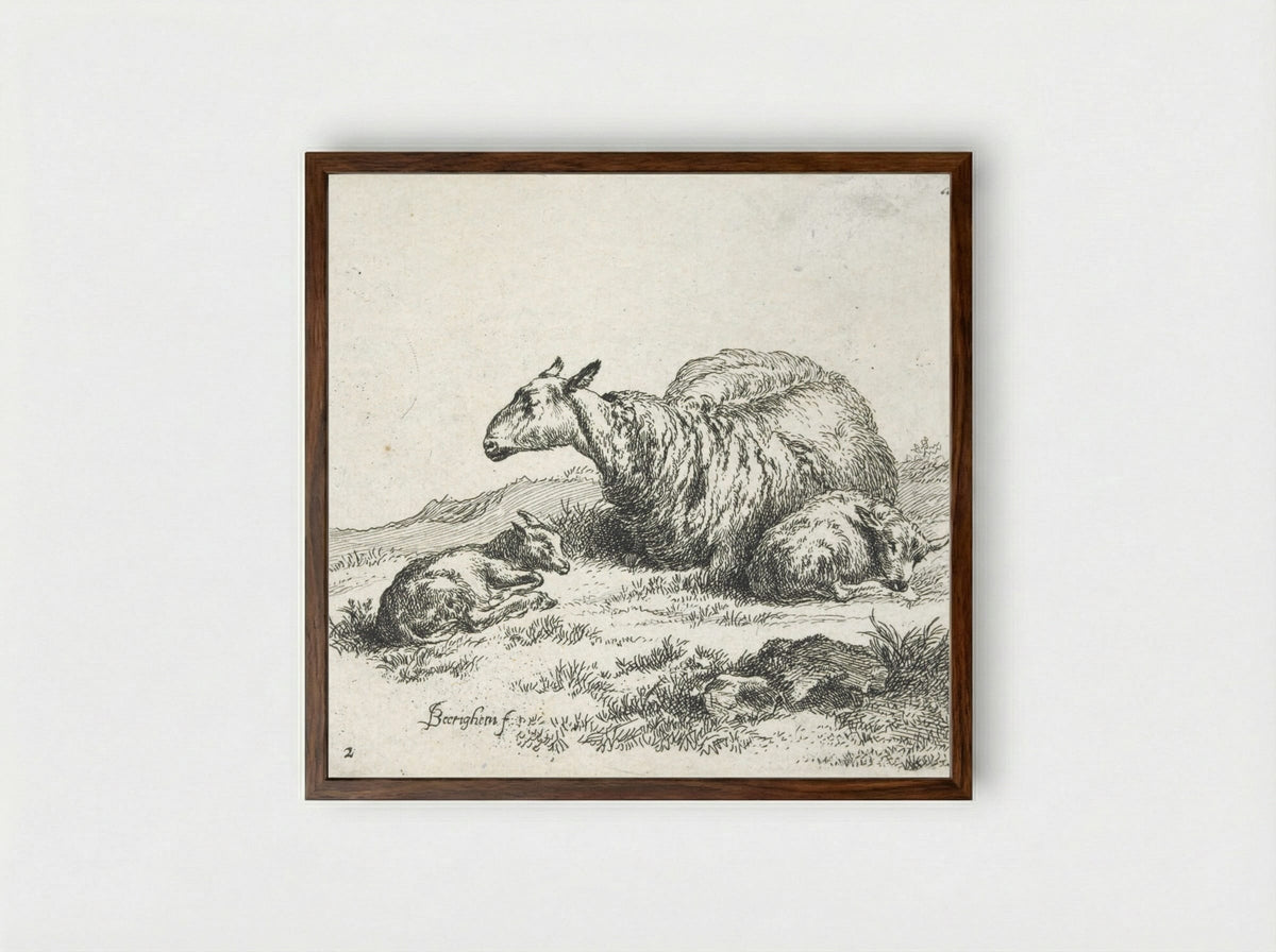A Sheep and Kid - Nicolaes Berchem - Framed Print Dark Wood