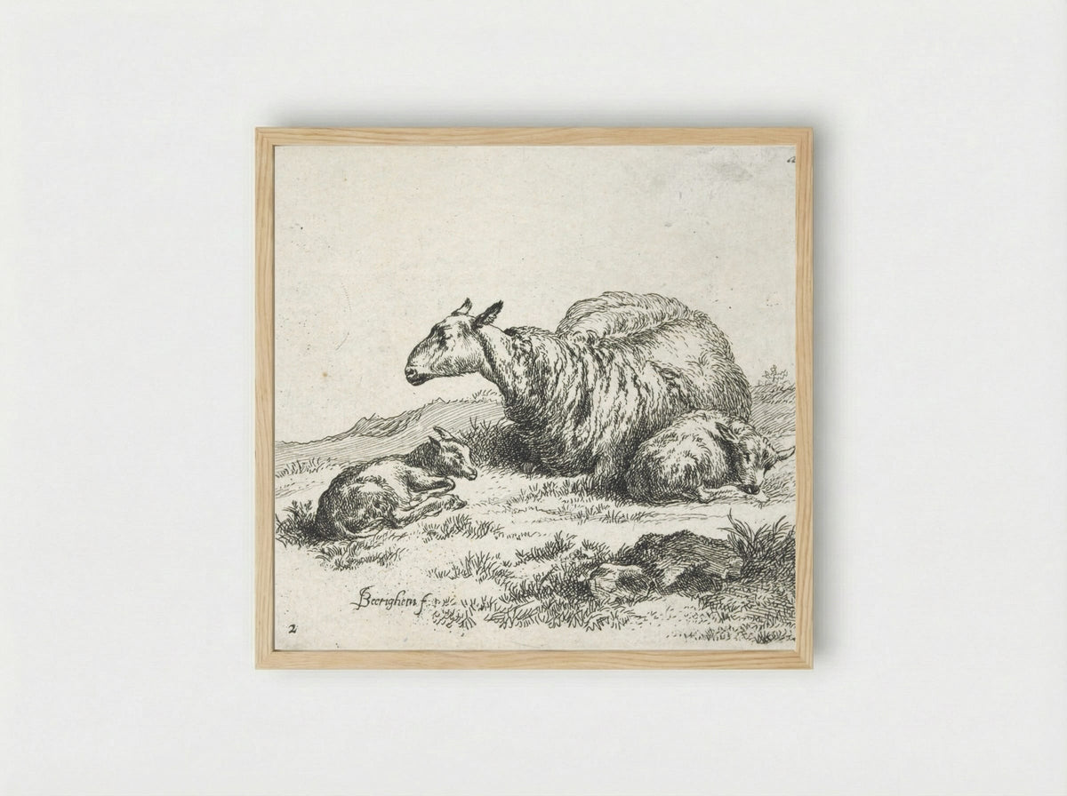 A Sheep and Kid - Nicolaes Berchem - Framed Print Wood
