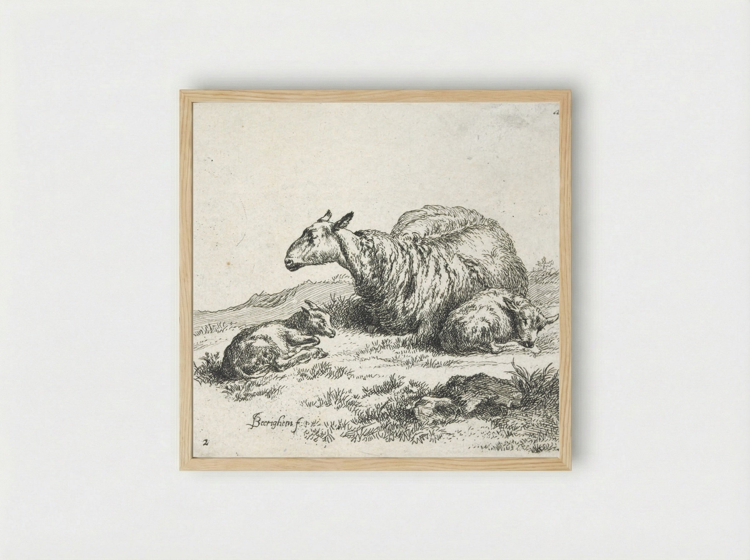 A Sheep and Kid - Nicolaes Berchem - Framed Print Wood