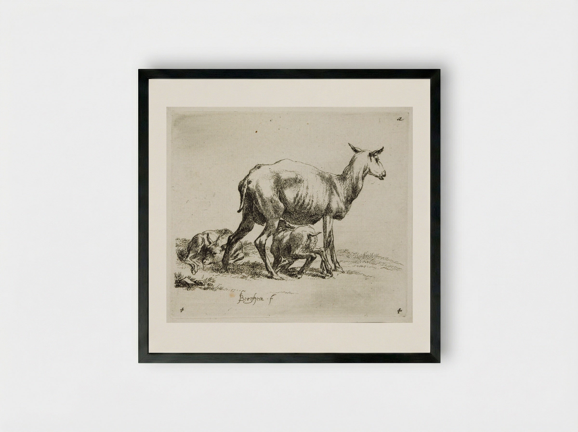 A Sheep and Two Kids - Nicolaes Berchem - Framed Print Black