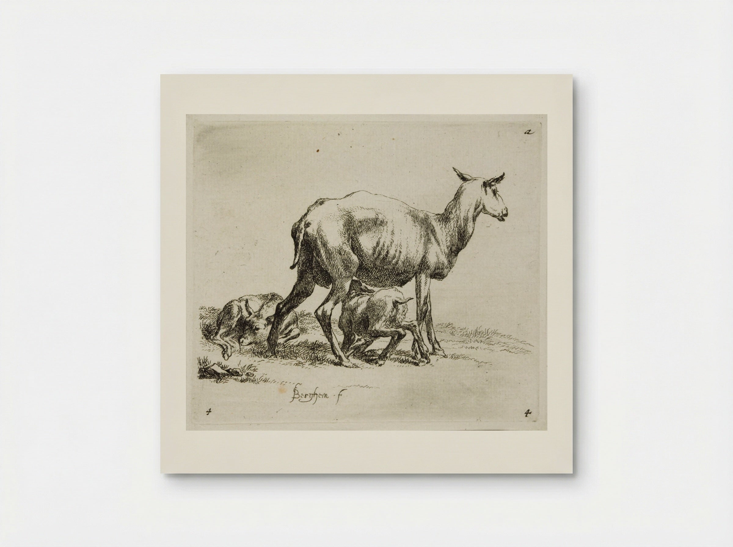 A Sheep and Two Kids - Nicolaes Berchem - Poster
