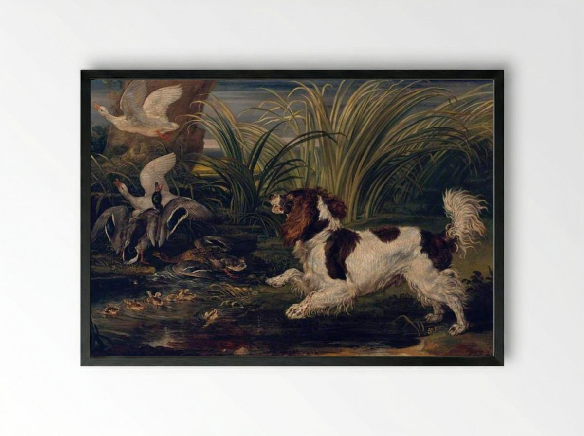 A Spaniel Frightening Ducks - James Ward - Framed Print Black