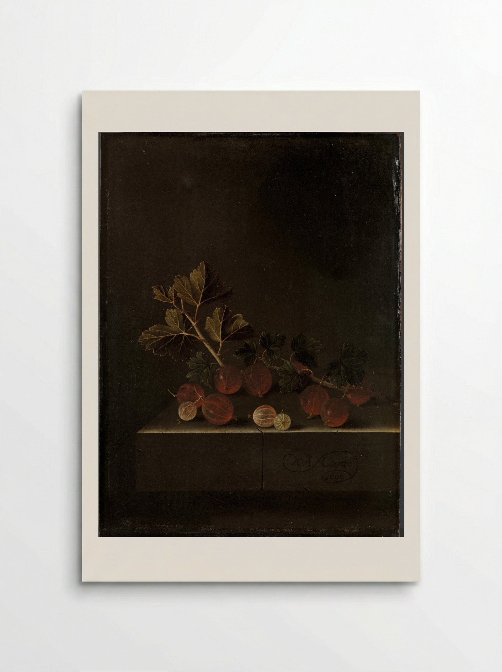 A Sprig of Gooseberries on a Stone Plinth - Adriaen Coorte