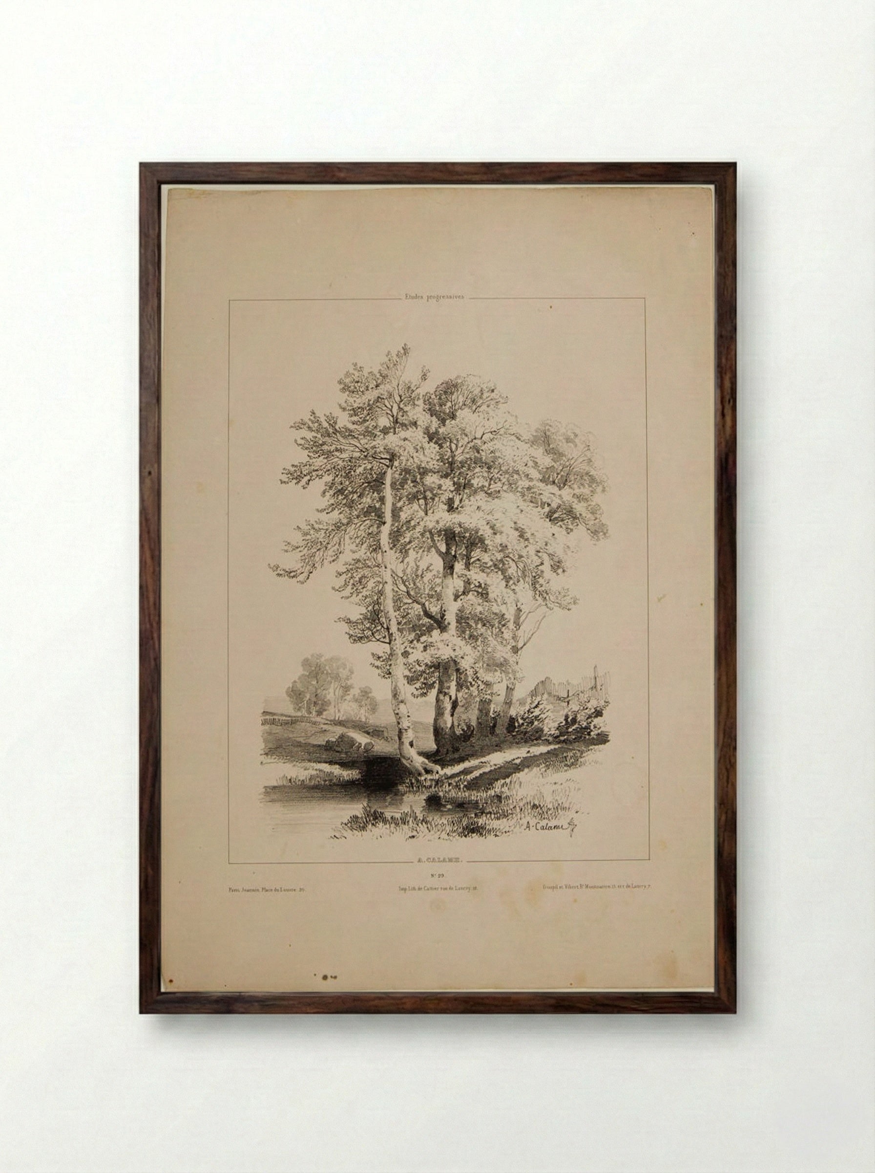 A Stand of Birch - Alexandre Calame - Framed Print Dark Wood
