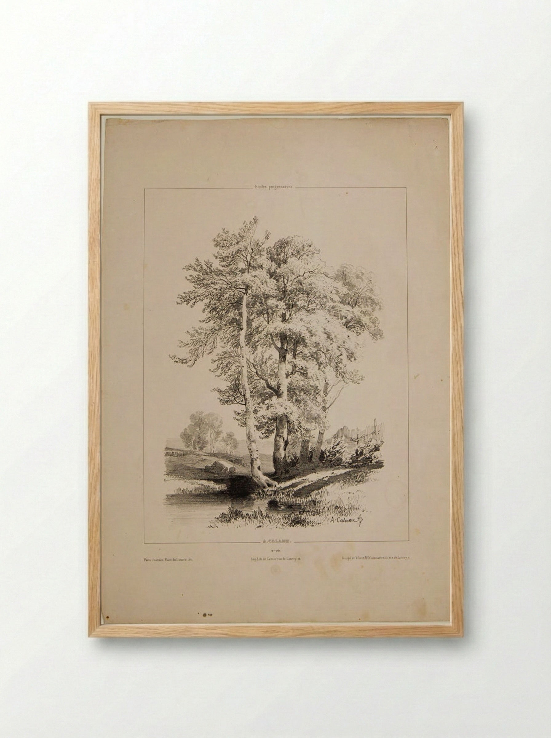 A Stand of Birch - Alexandre Calame - Framed Print Wood