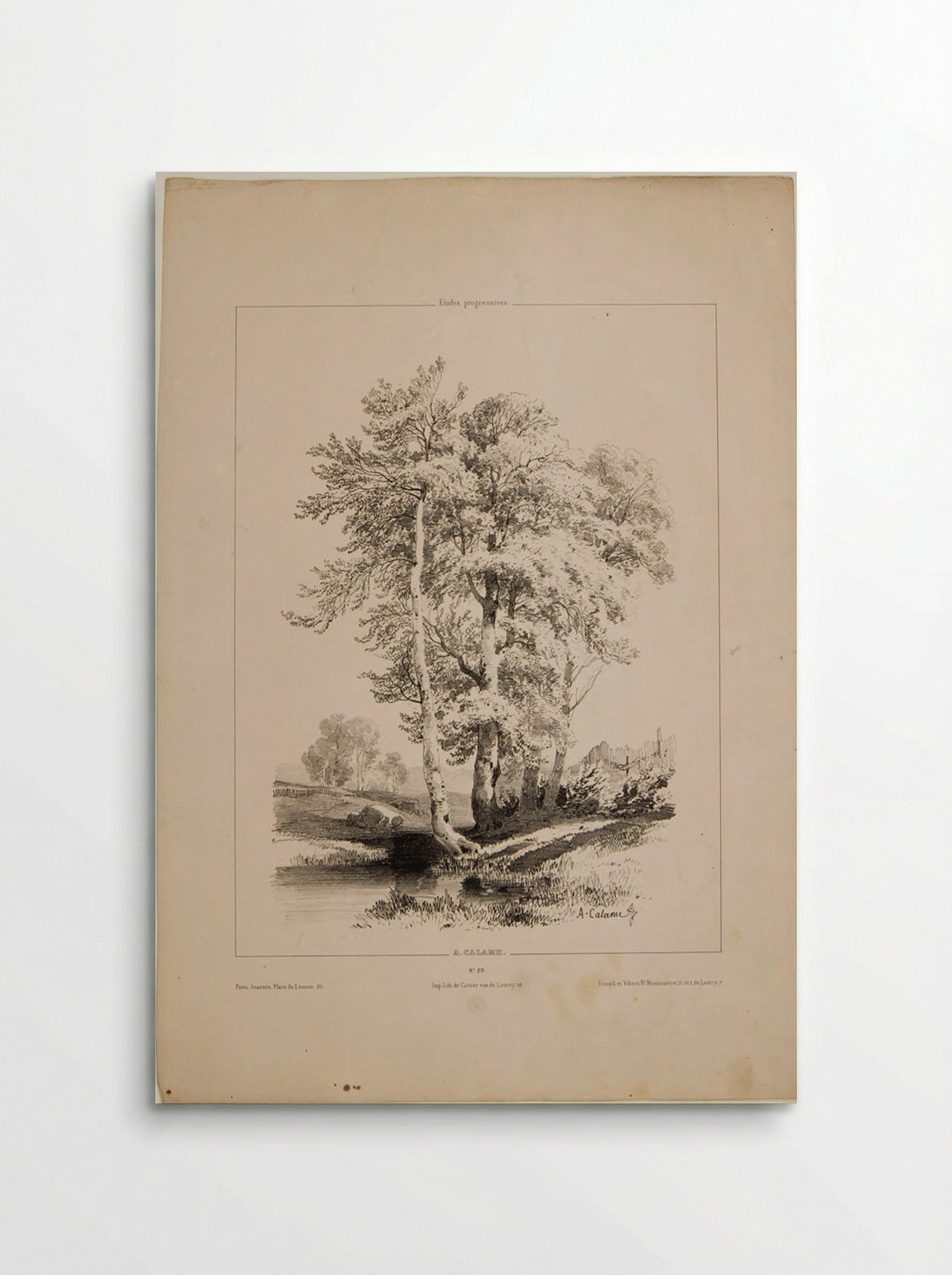A Stand of Birch - Alexandre Calame - Poster