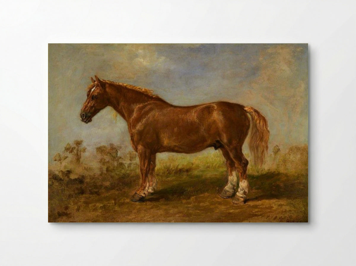 A Suffolk Carthorse - James Ward - Poster