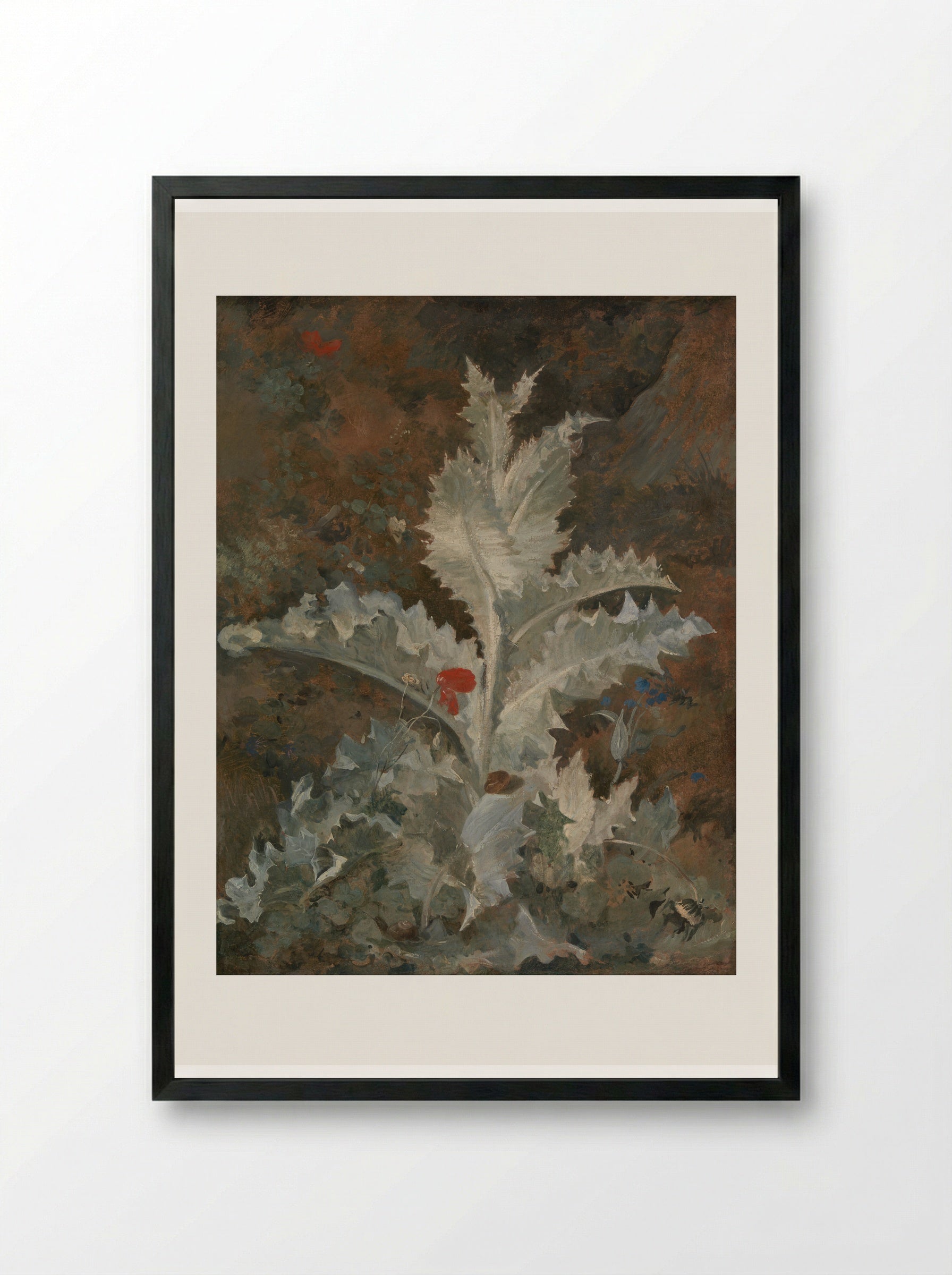 A Thistle - John Crome - Framed Print Black