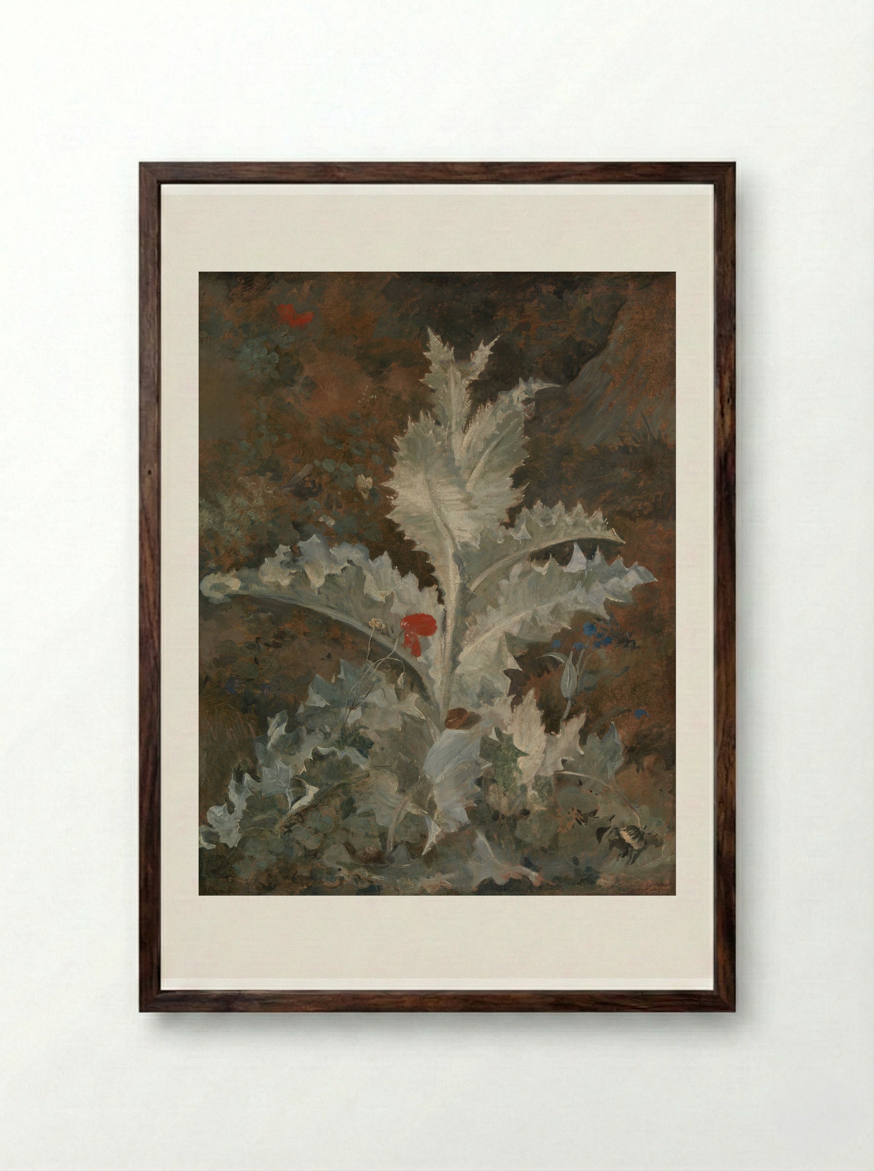 A Thistle - John Crome - Framed Print Dark Wood