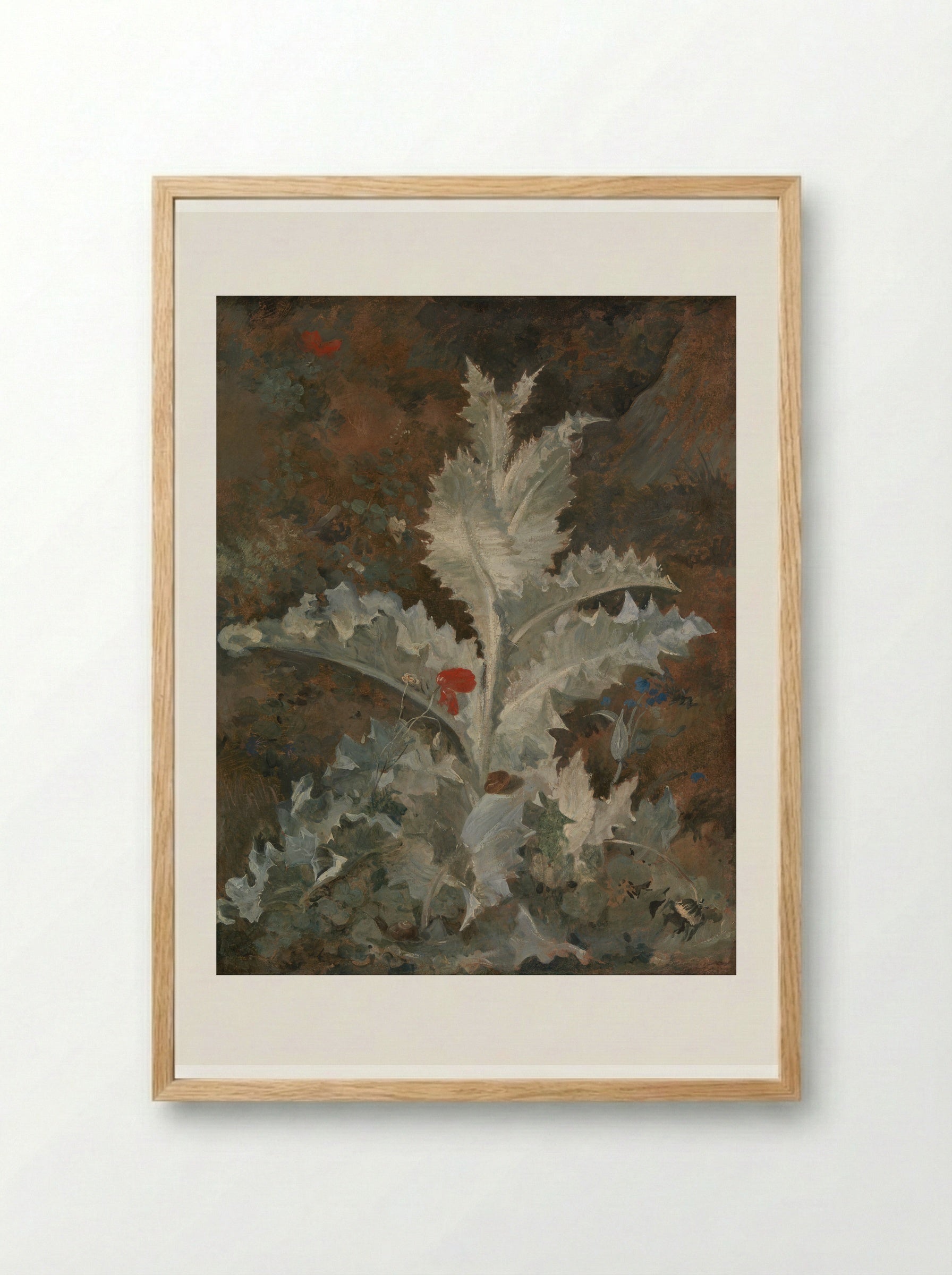A Thistle - John Crome - Framed Print Wood