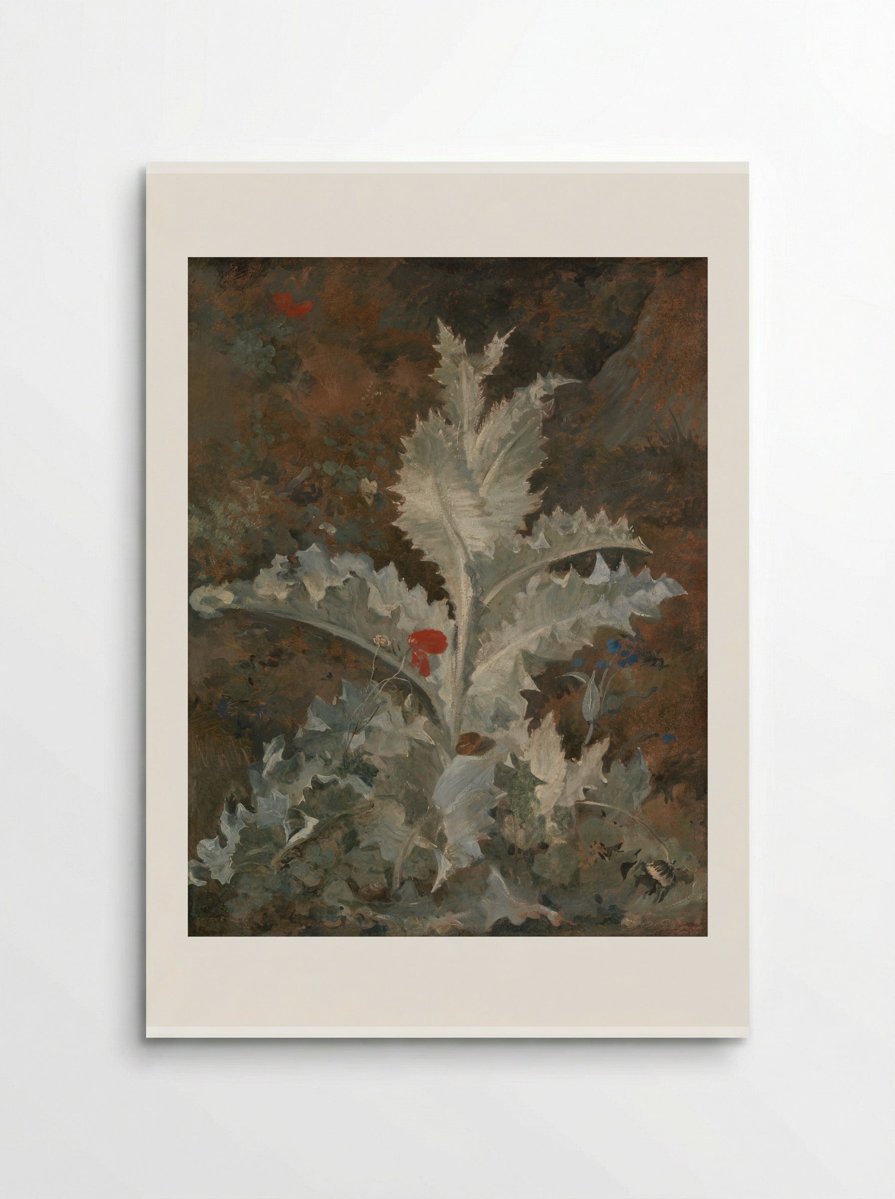 A Thistle - John Crome - Poster