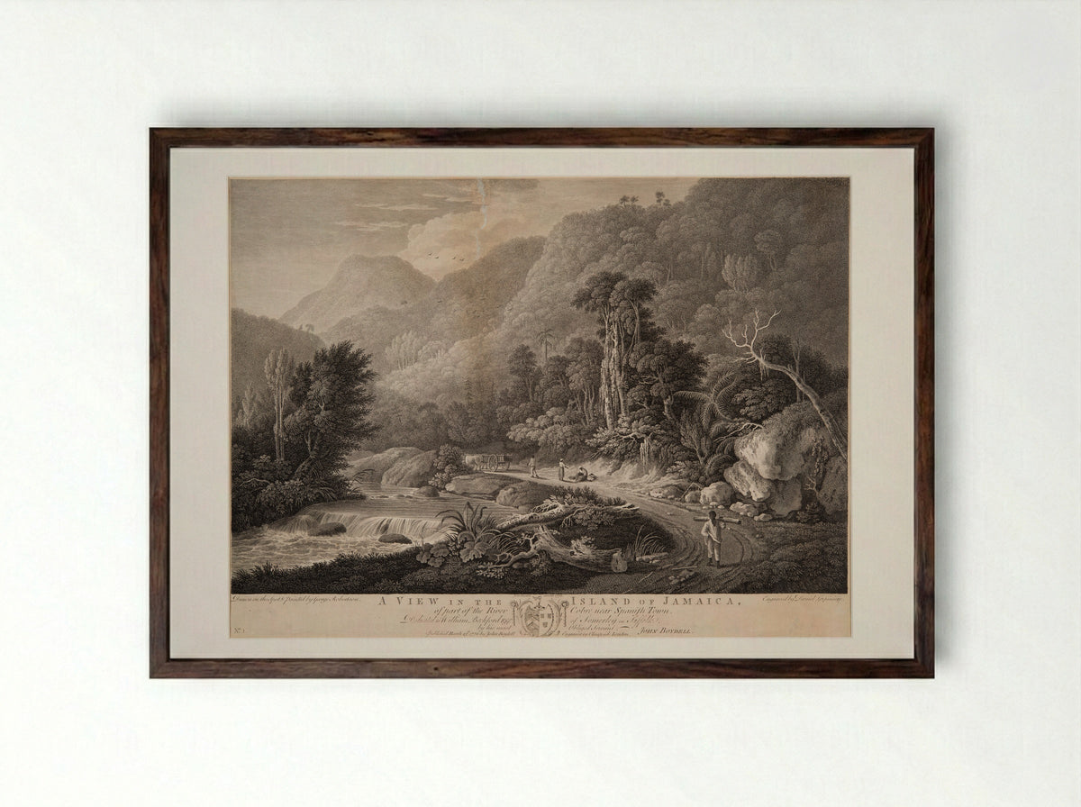 A View in the Island of Jamaica - Daniel Lerpinière - Framed Print Dark Wood