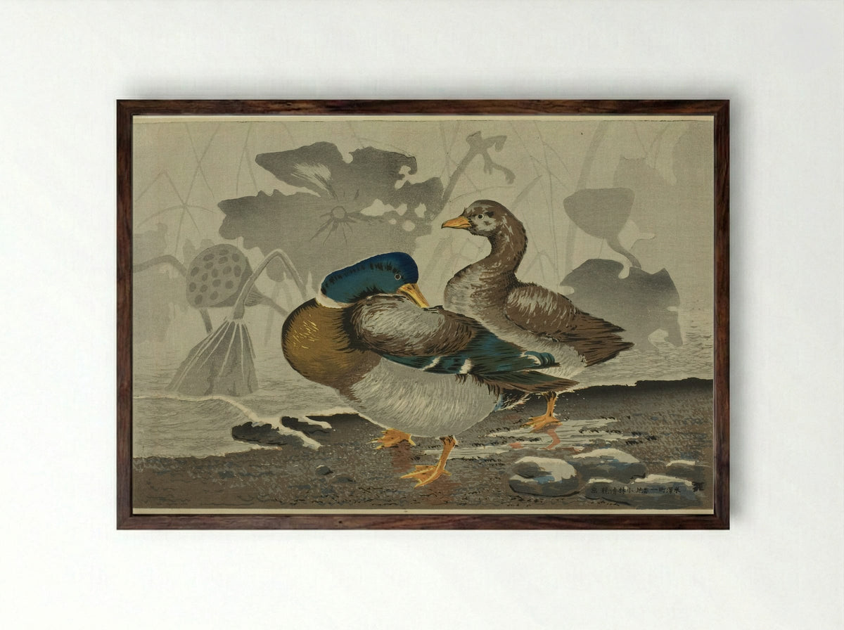 A pair of ducks by a lotus pond - Kobayashi Kiyochika - Framed Print Dark Wood