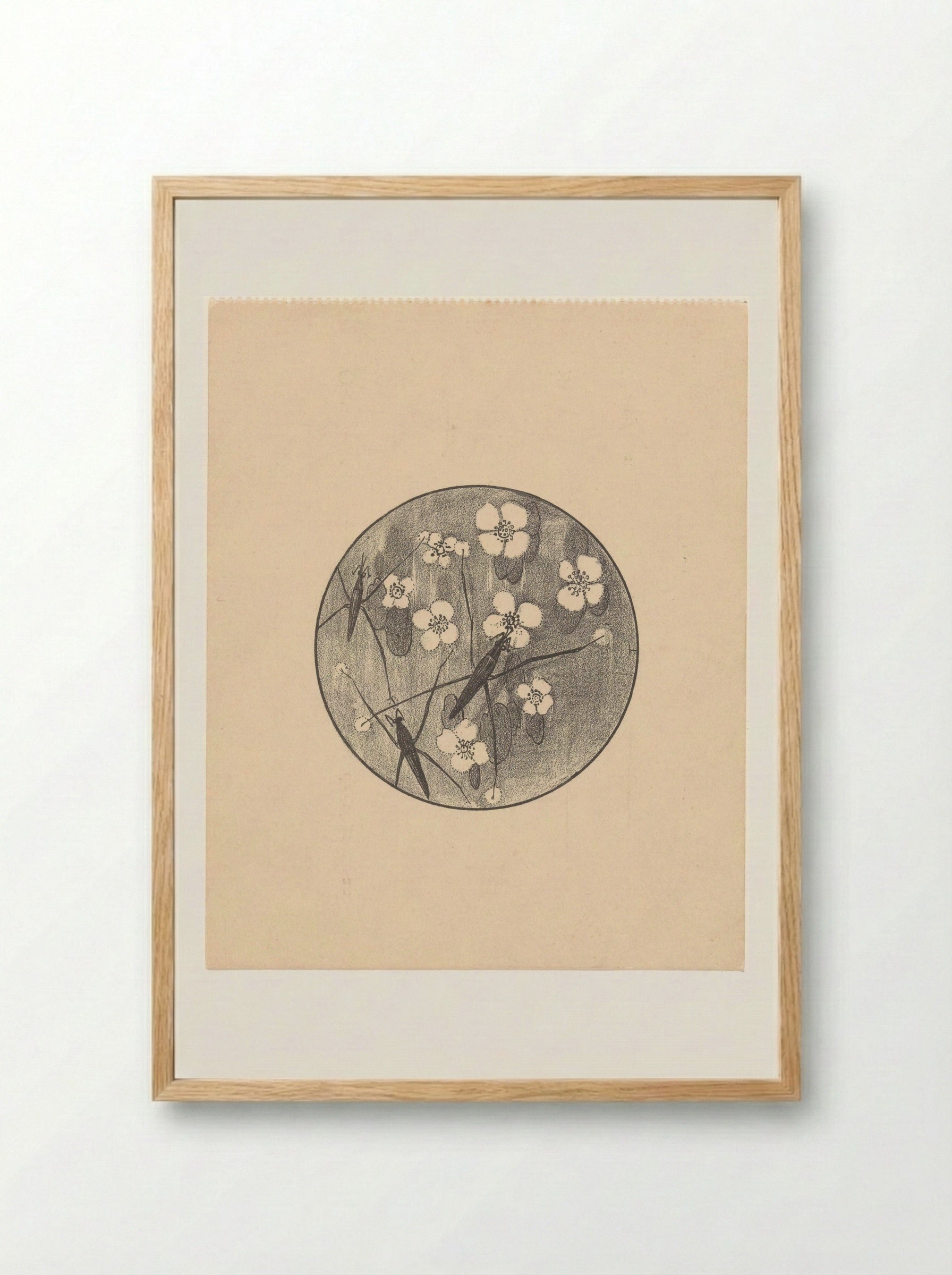 Aankondiging met insecten en bloemen voor serie 'Dierstudies' - Theo van Hoytema - Framed Print Wood
