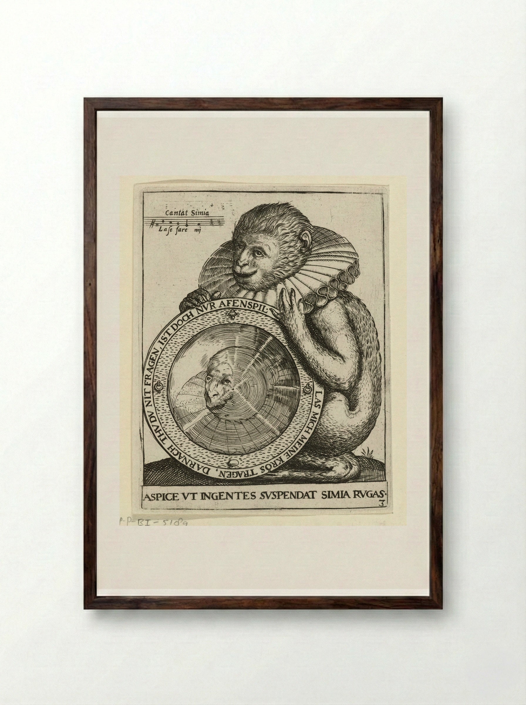 Aap met spiegel (Monkey with a Mirror) - Johann Theodor de Bry - Framed Print Dark Wood