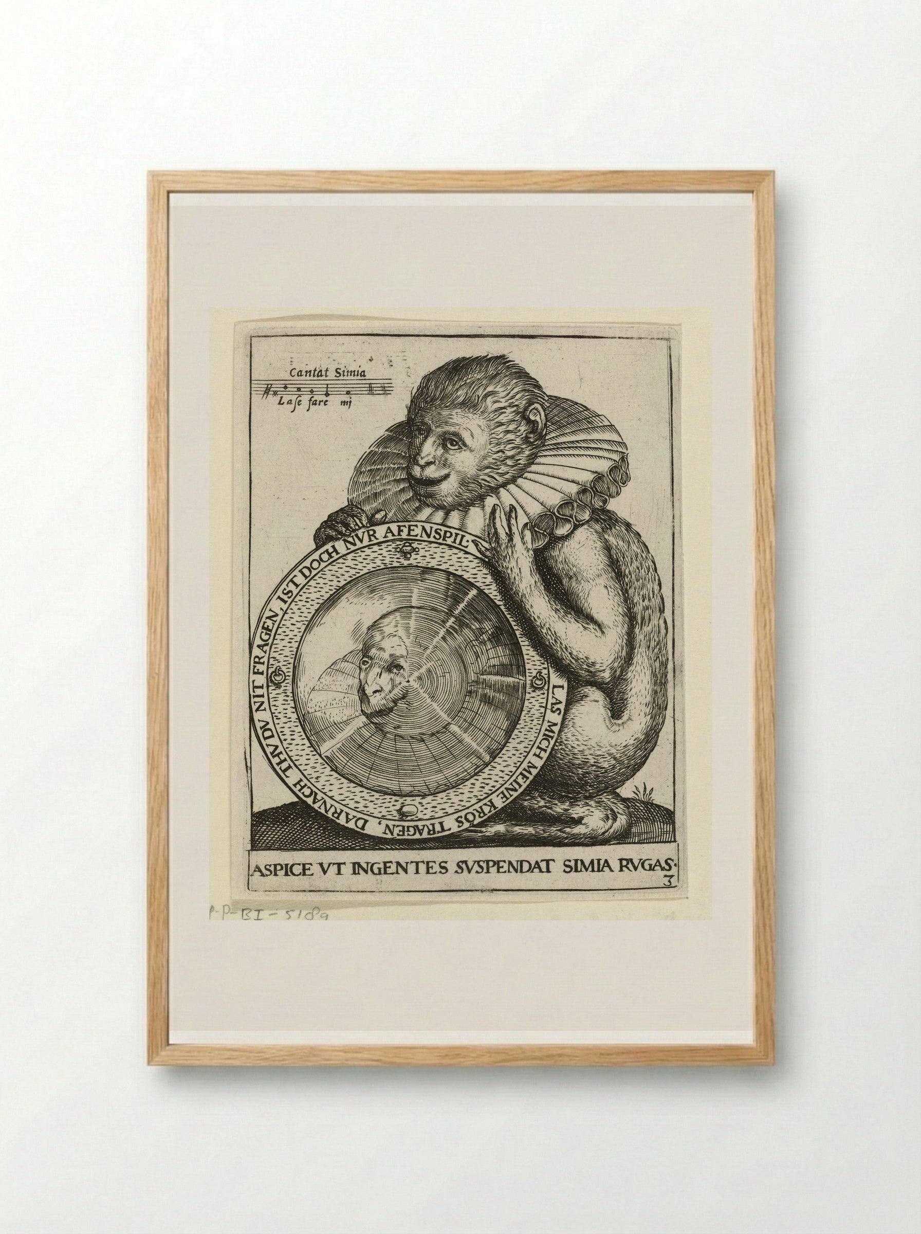 Aap met spiegel (Monkey with a Mirror) - Johann Theodor de Bry - Framed Print Wood