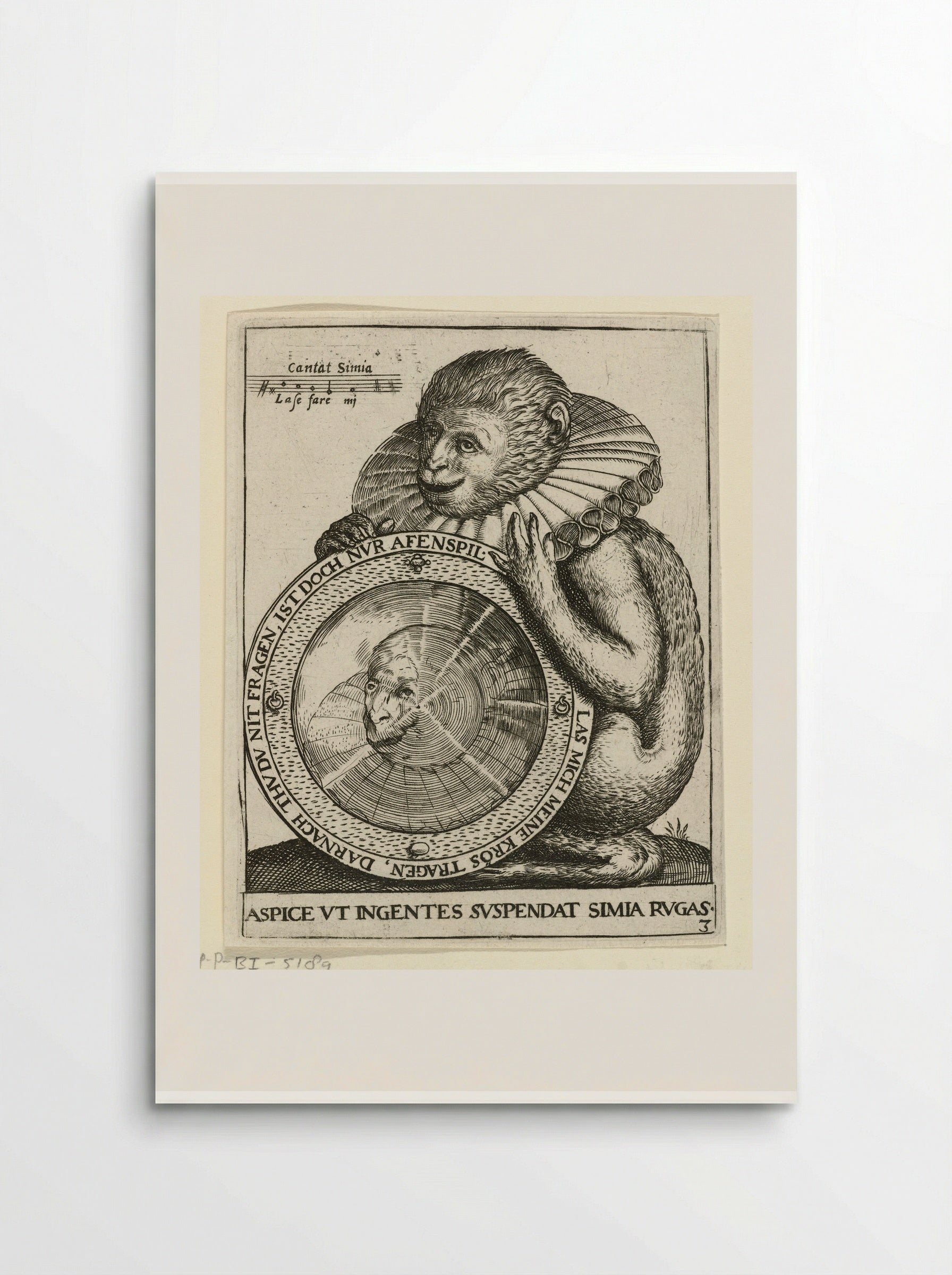 Aap met spiegel (Monkey with a Mirror) - Johann Theodor de Bry - Poster