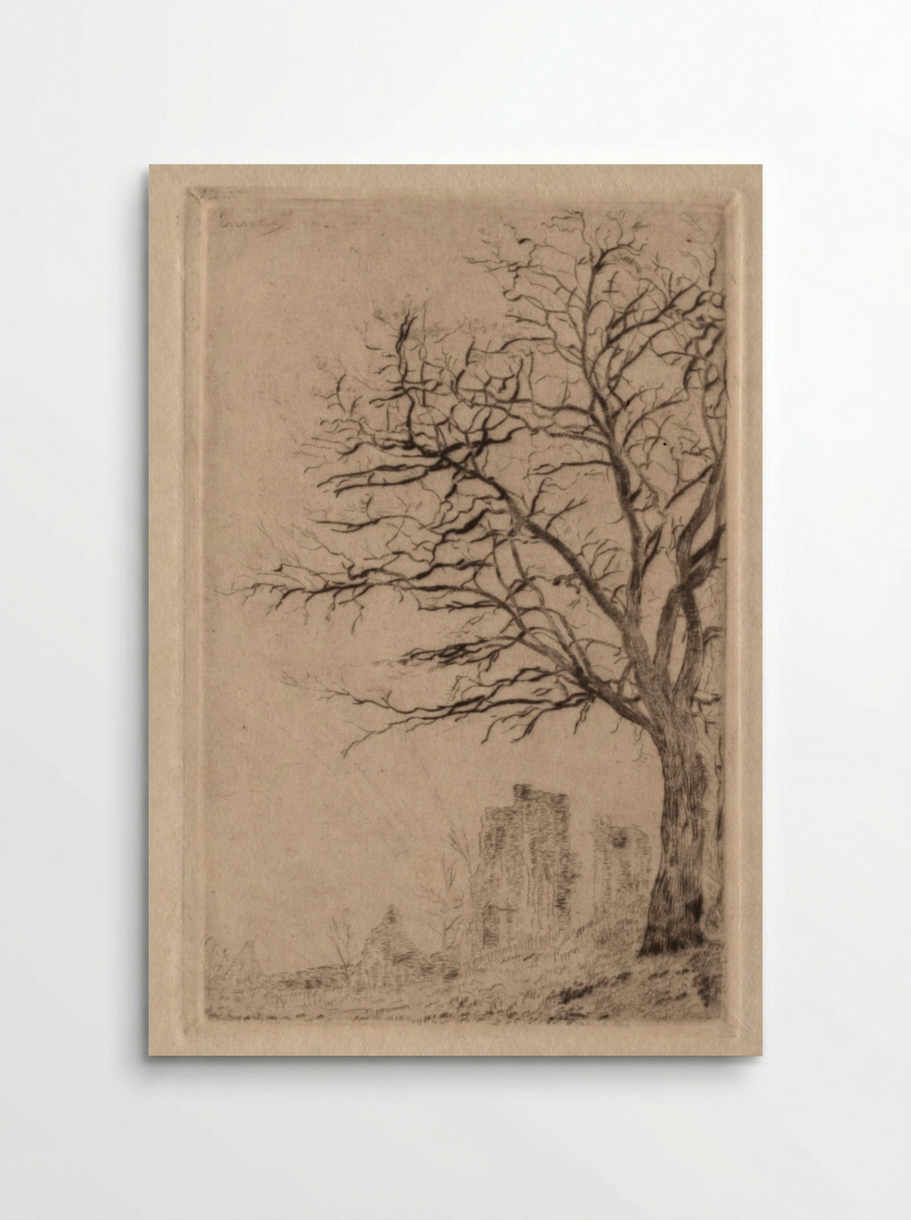 Acacia - James Ensor - Poster