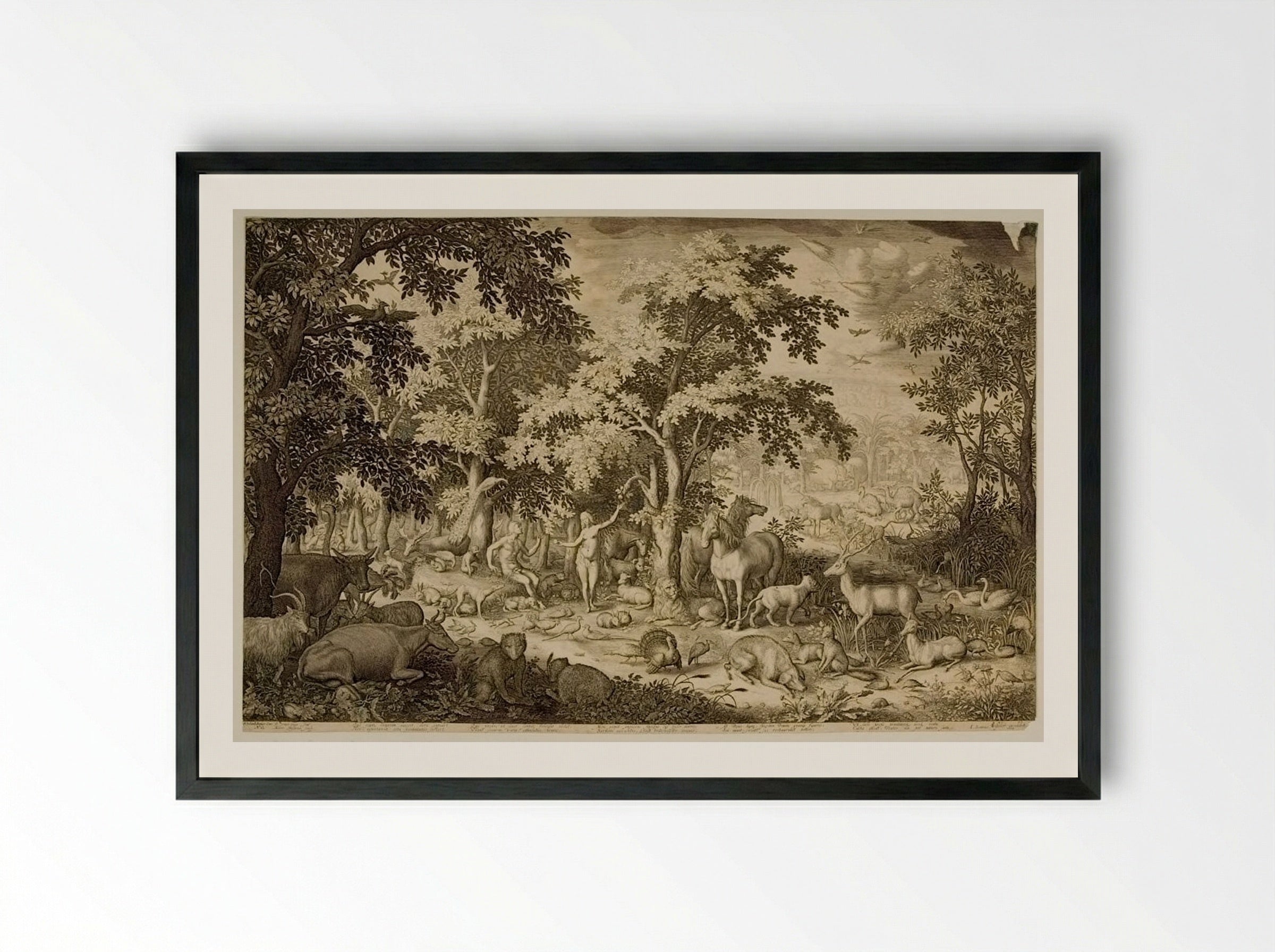 Adam and Eve in the Garden of Eden - Boetius Adamsz. Bolswert - Framed Print Black