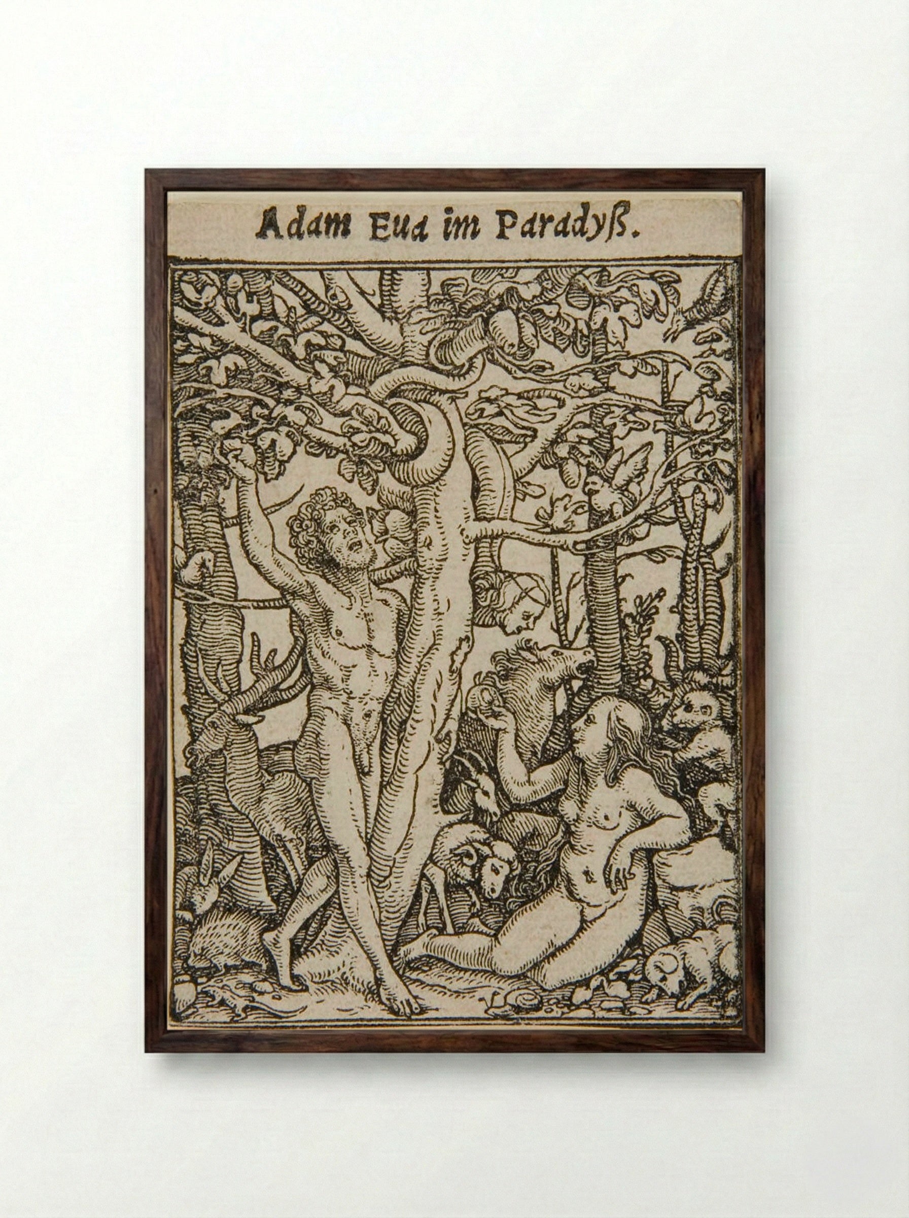 Adam and Eve in the Garden of Eden - Hans Holbein the Younger - Framed Print Dark Wood