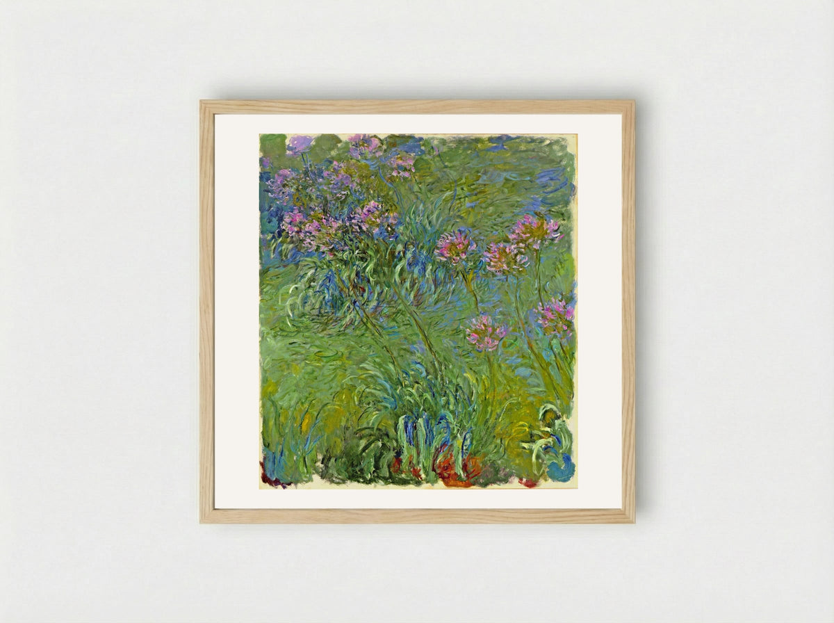 Agapanthus - Claude Monet - Framed Print Wood