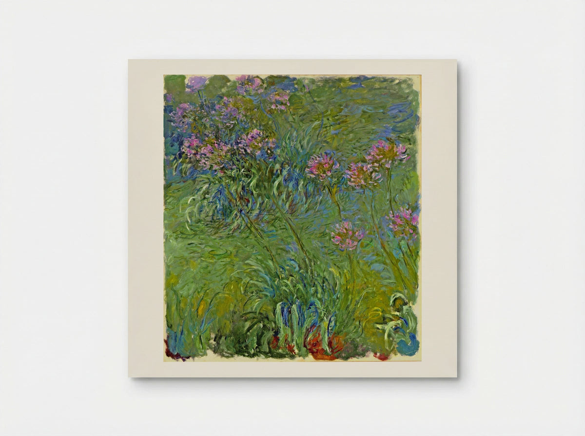 Agapanthus - Claude Monet - Poster