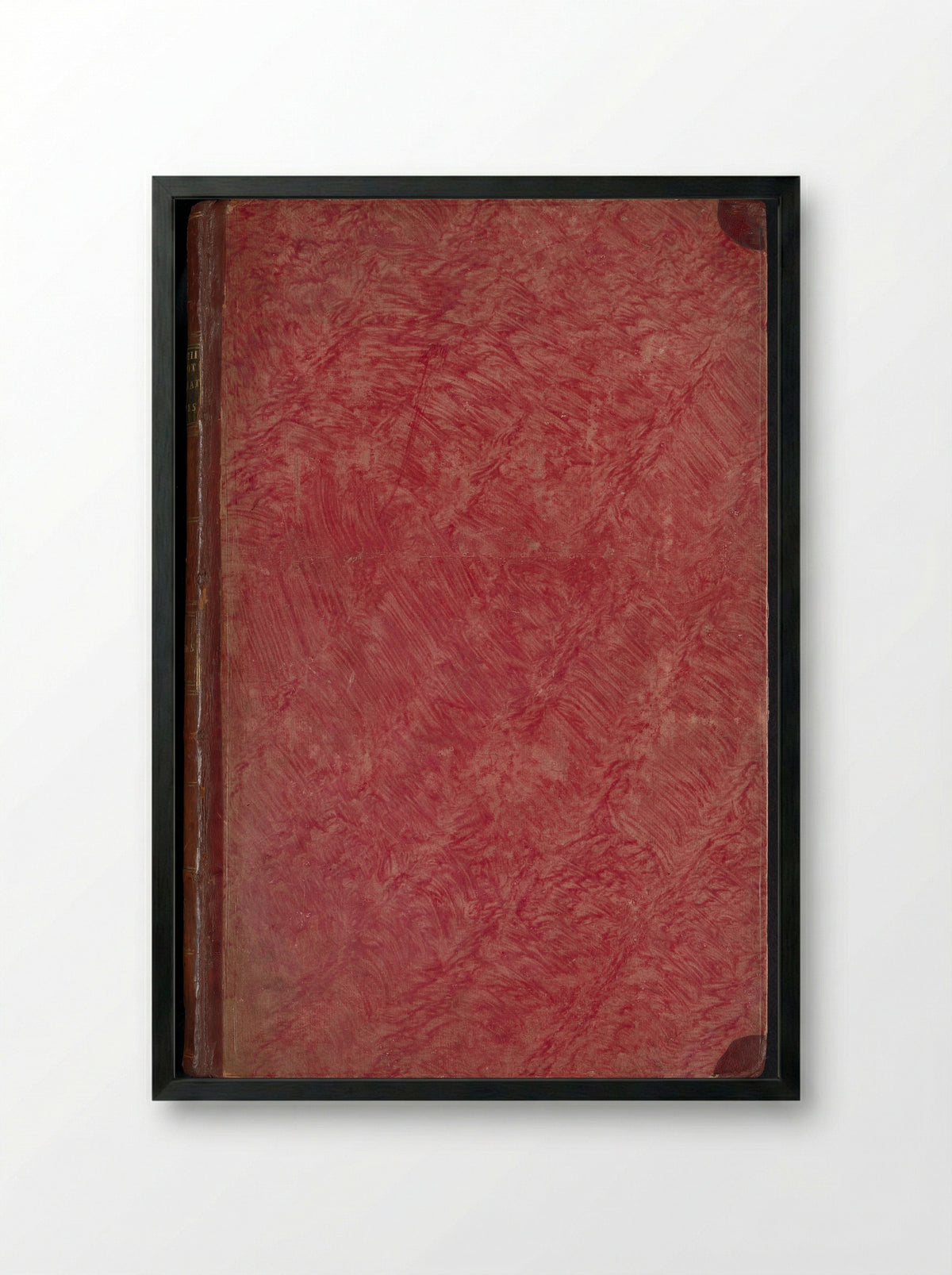 Album met bladen en platen uit De Boodts herbarium van 1640 - Joseph van Huerne - Framed Print Black