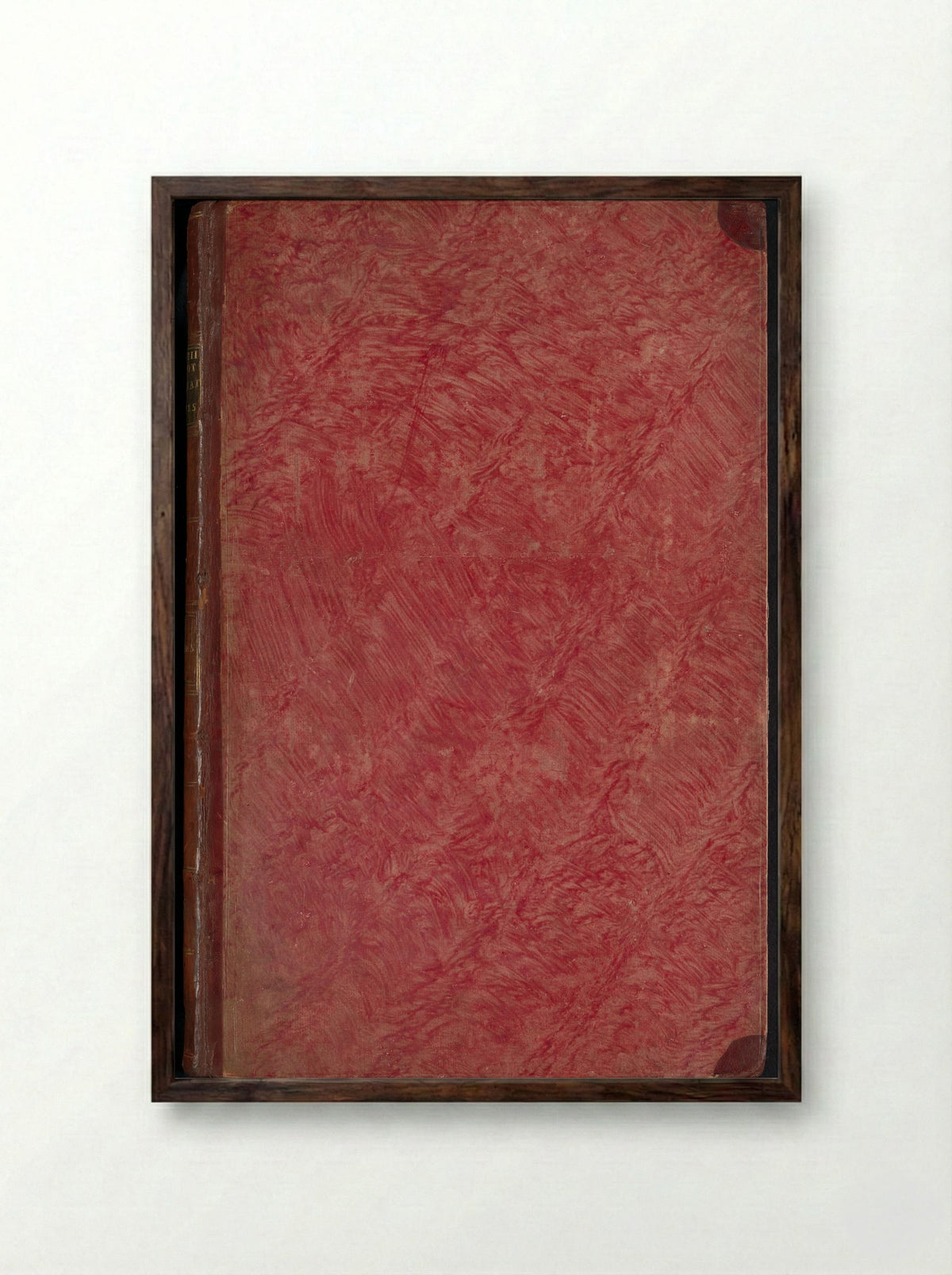 Album met bladen en platen uit De Boodts herbarium van 1640 - Joseph van Huerne - Framed Print Dark Wood