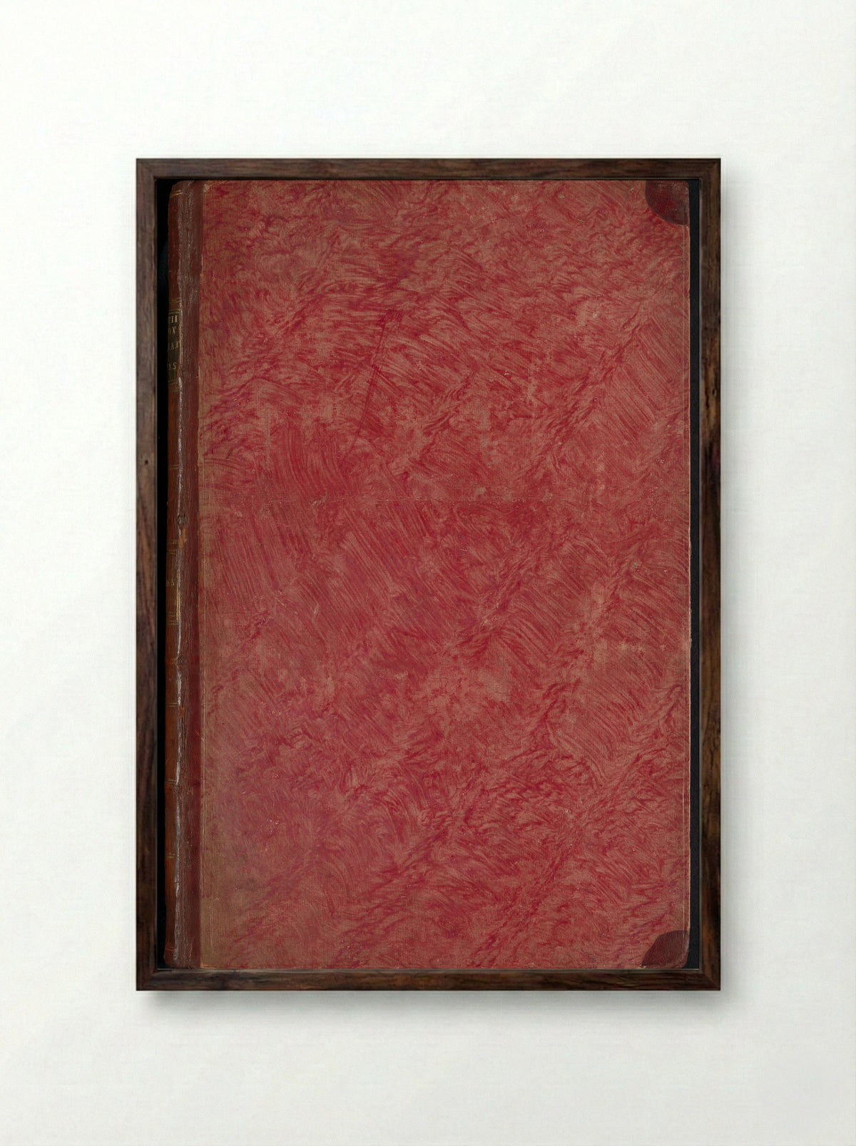 Album met bladen en platen uit De Boodts herbarium van 1640 - Joseph van Huerne - Framed Print Dark Wood