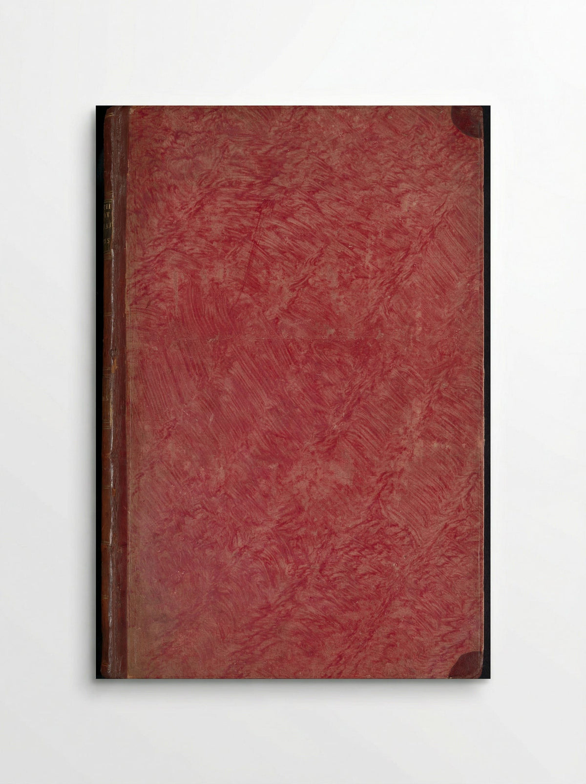 Album met bladen en platen uit De Boodts herbarium van 1640 - Joseph van Huerne - Poster