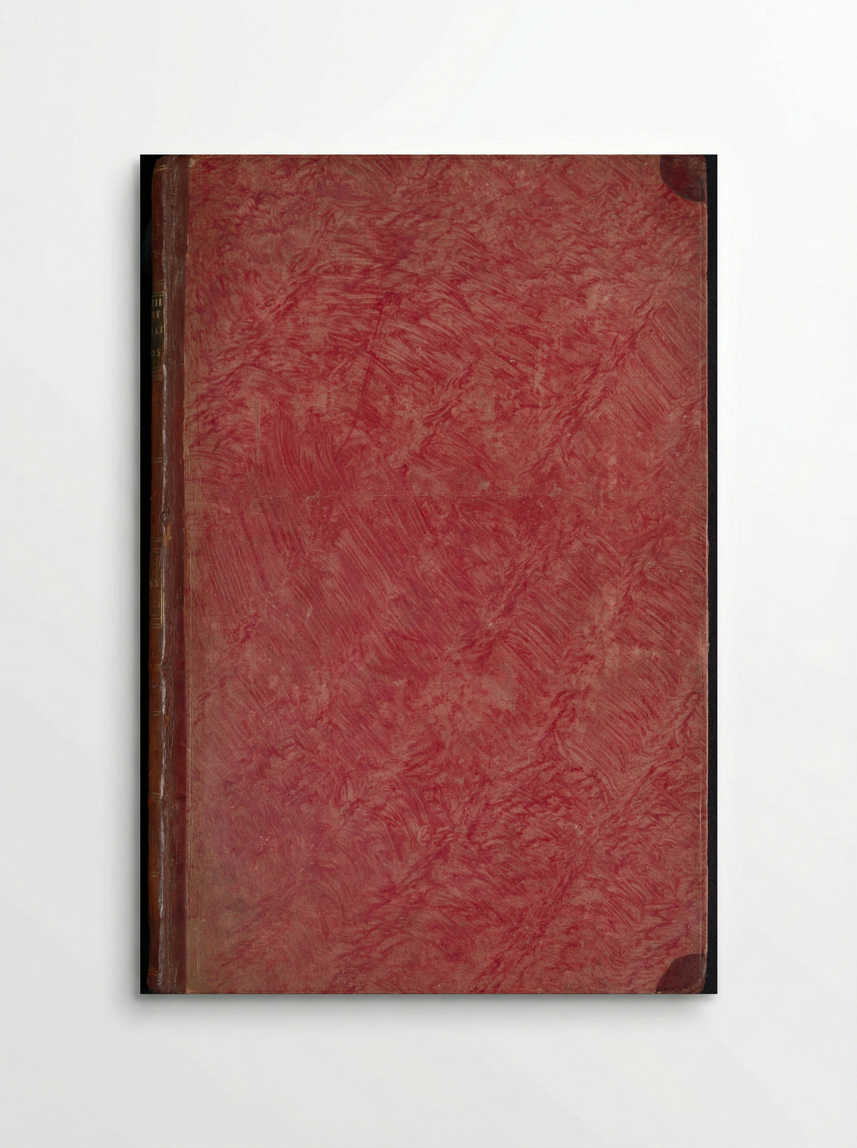 Album met bladen en platen uit De Boodts herbarium van 1640 - Joseph van Huerne - Poster