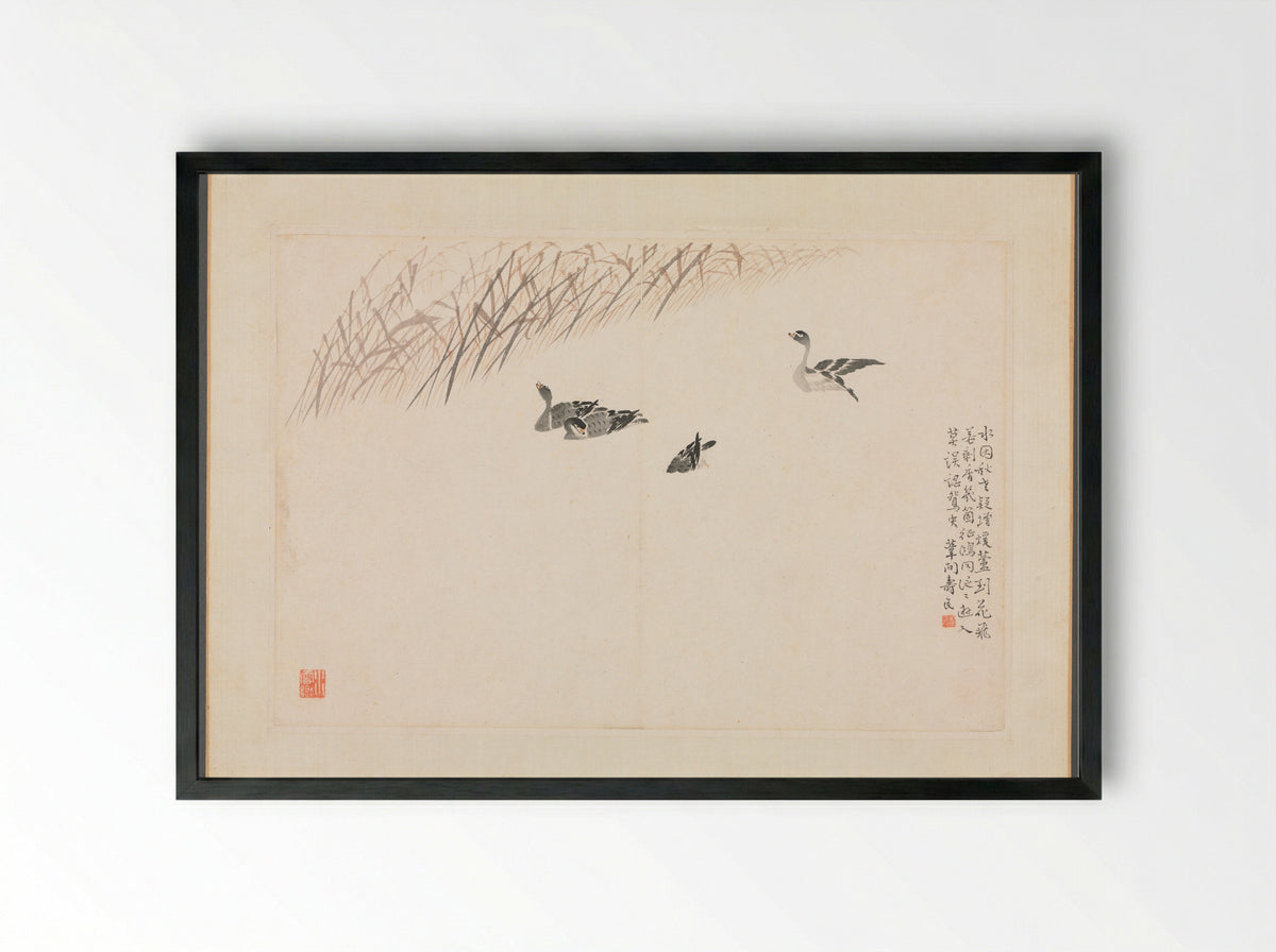 Album of Calligraphy and Paintings (Geese and Reeds) - Bian Shoumin - Framed Print Black