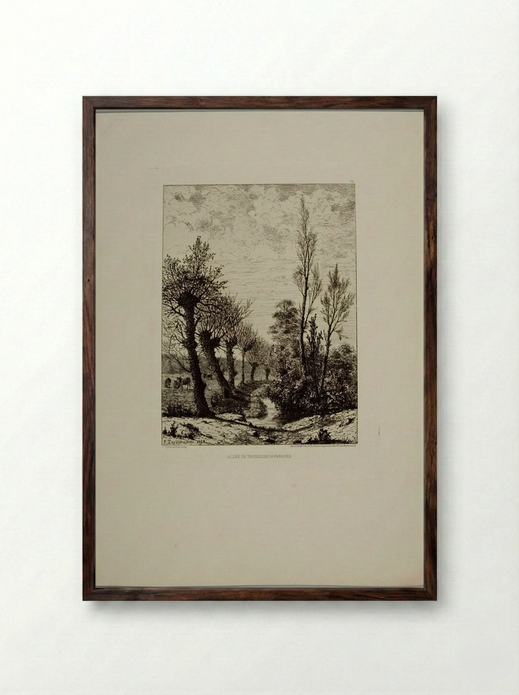 Allée de Trubesset à Fargues - Pierre Teyssonnières - Framed Print Dark Wood