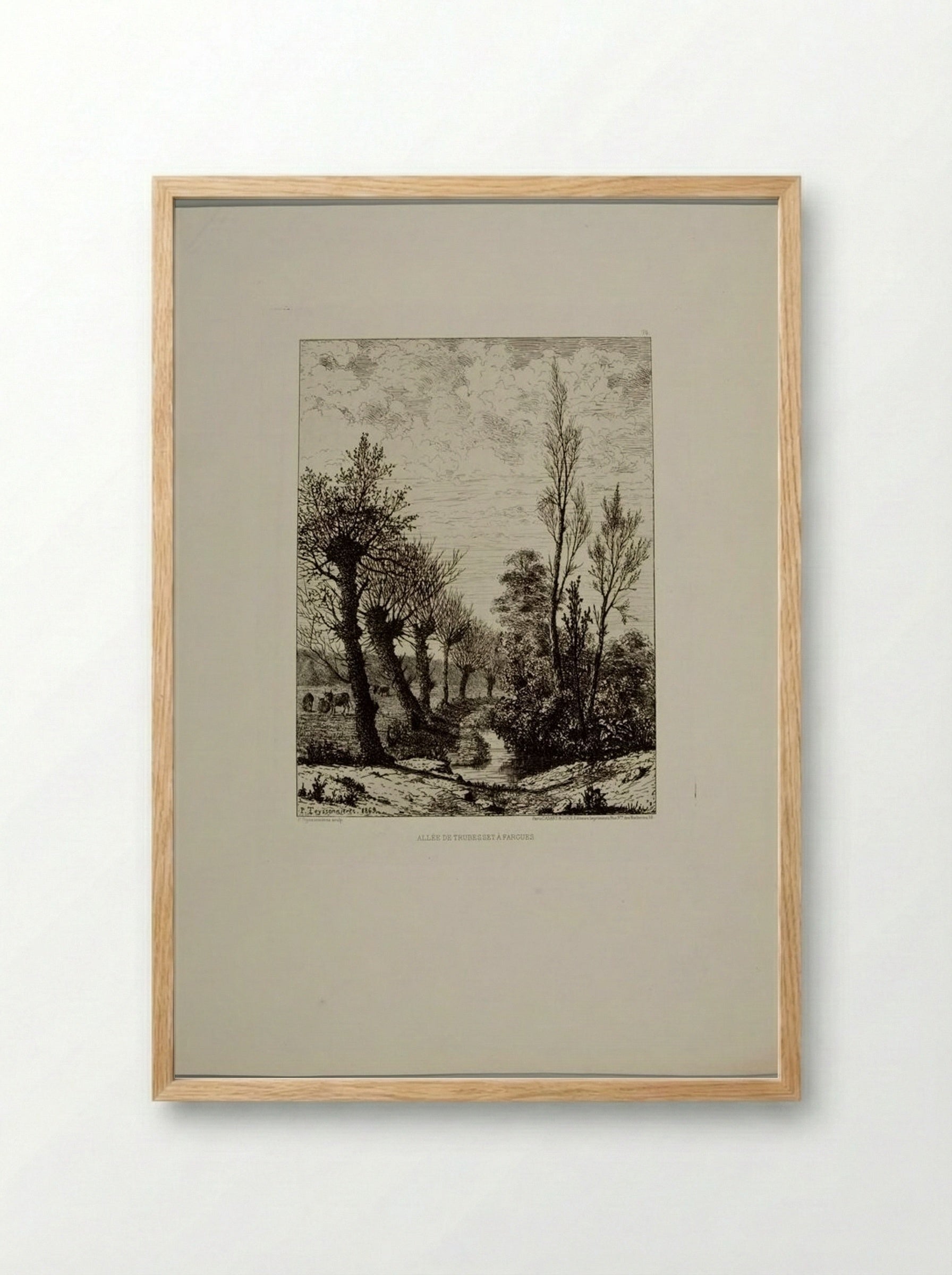 Allée de Trubesset à Fargues - Pierre Teyssonnières - Framed Print Wood